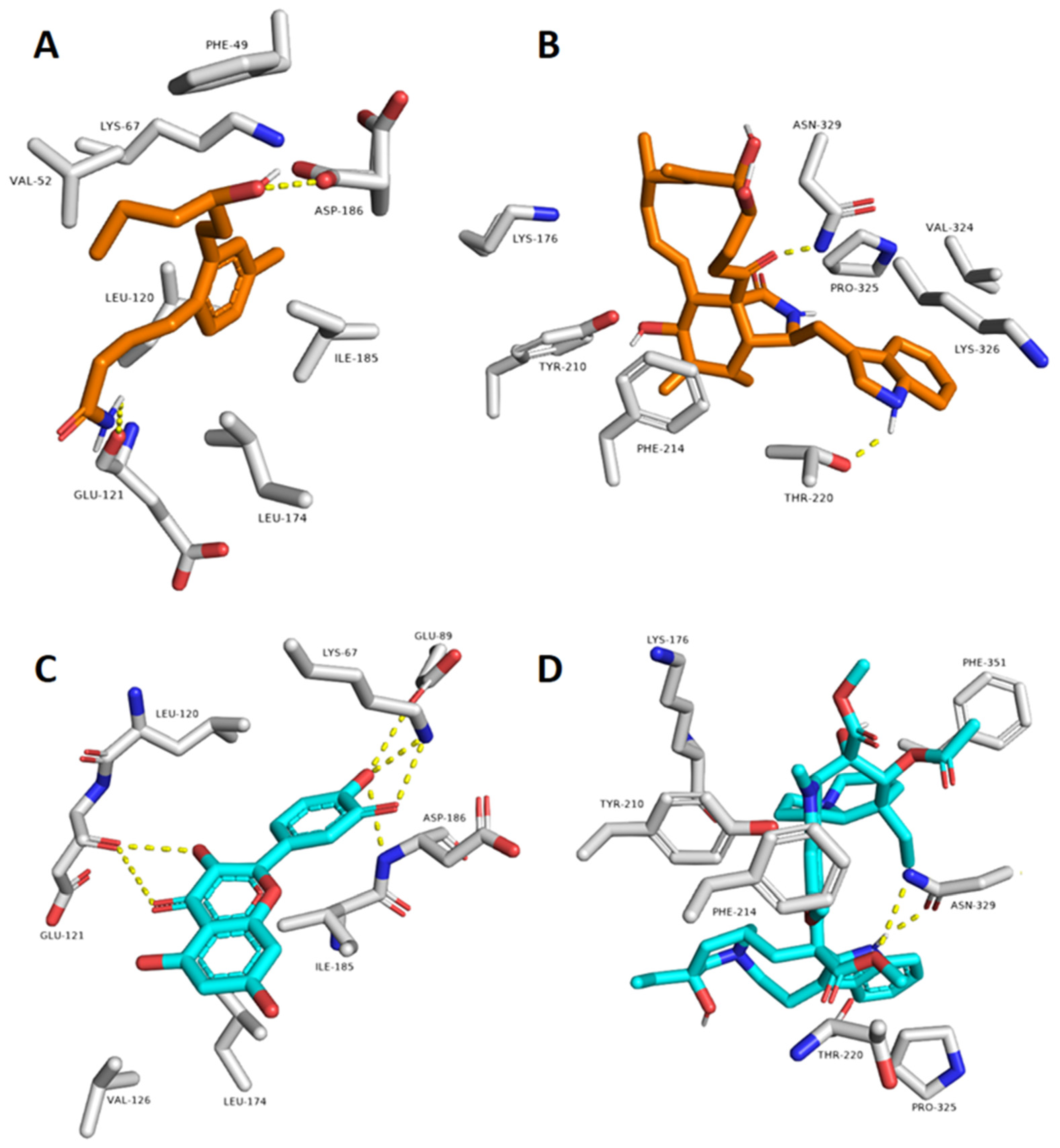 Marinedrugs 20 00628 g005 Marinedrugs 20 00628 g005