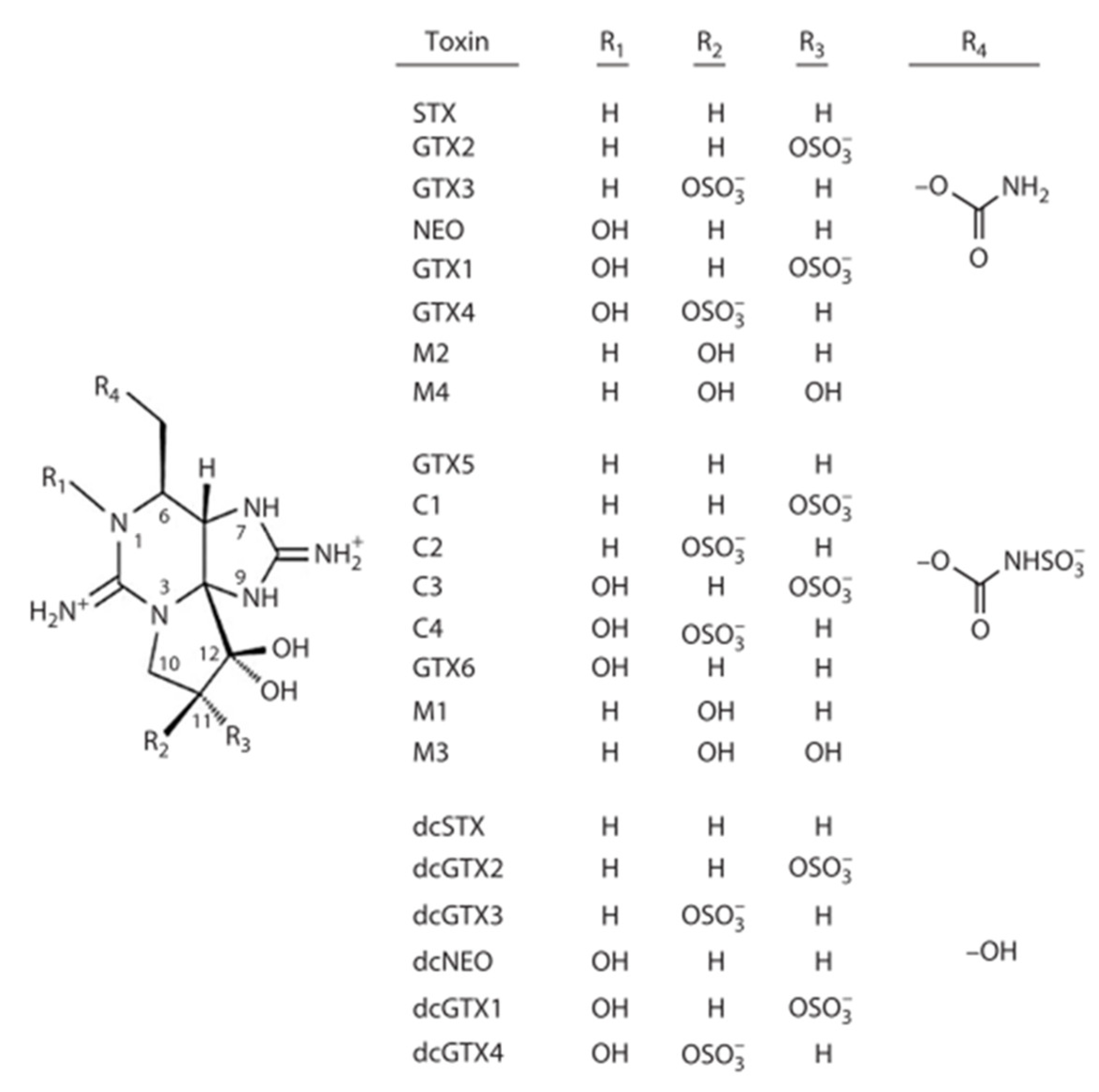 Marinedrugs 20 00634 g001 Marinedrugs 20 00634 g001