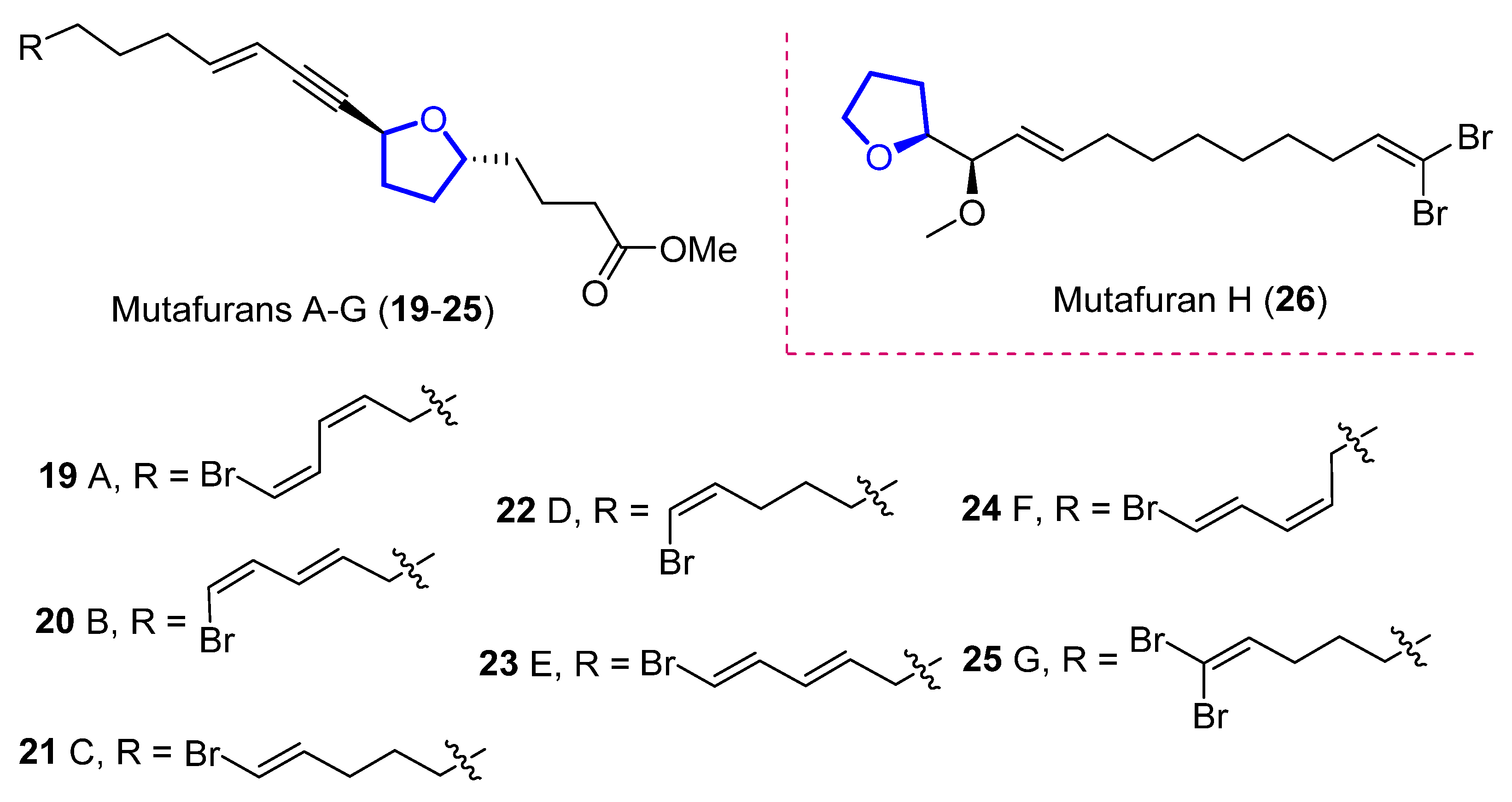 Marinedrugs 20 00642 g006 550
