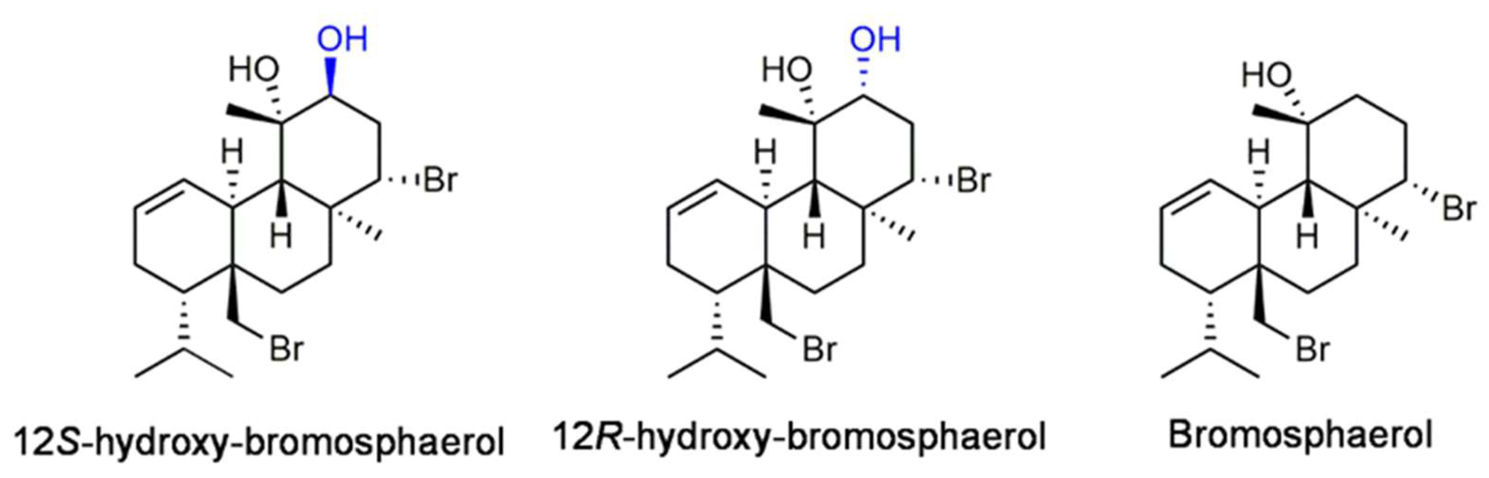 Marinedrugs 20 00652 g001