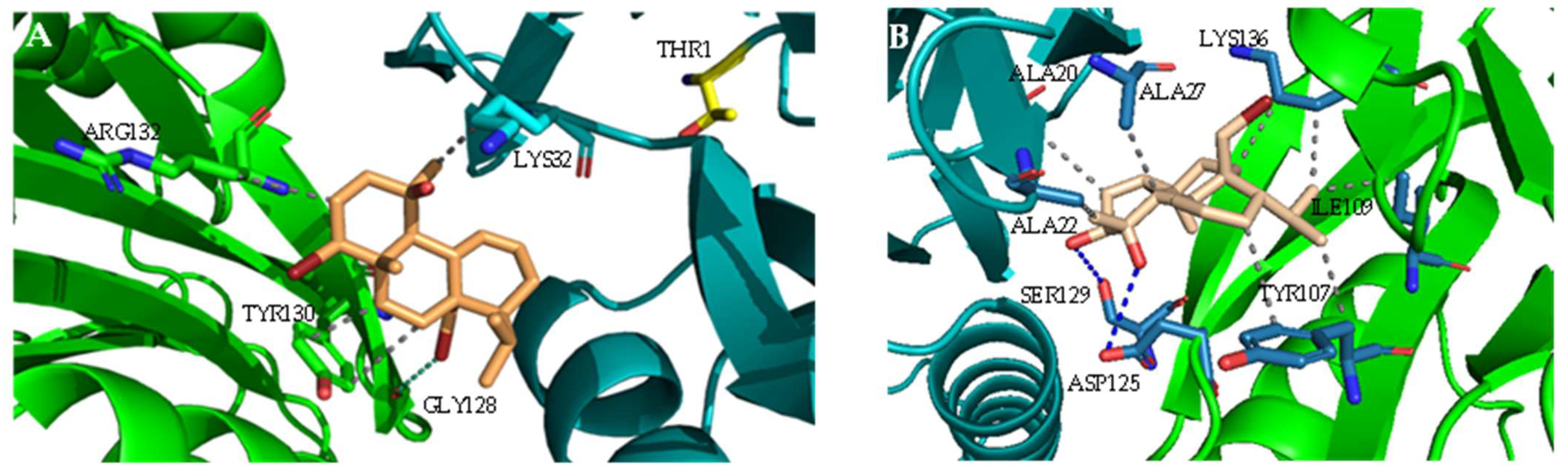 Marinedrugs 20 00652 g002a