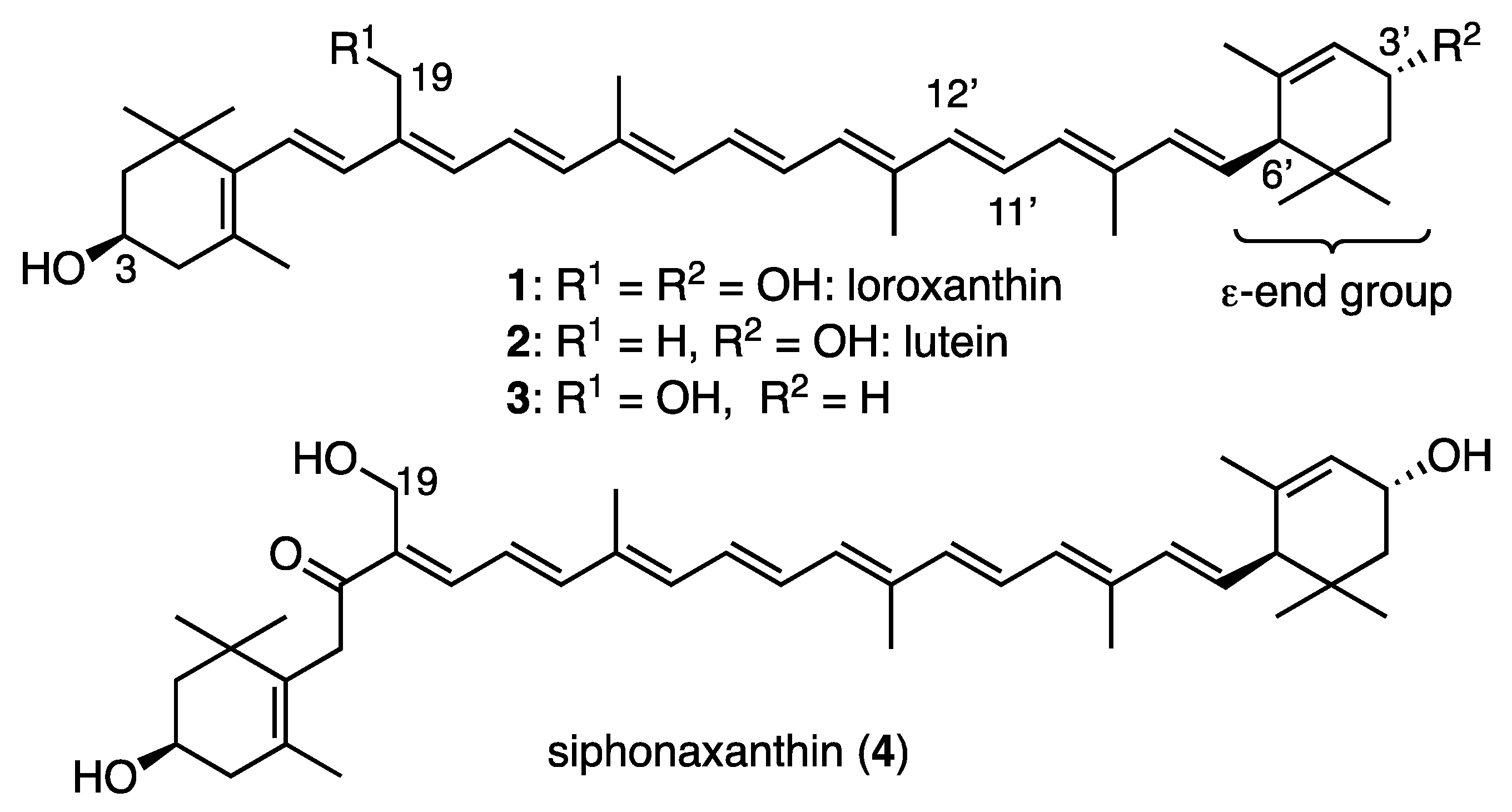 Marinedrugs 20 00658 g001