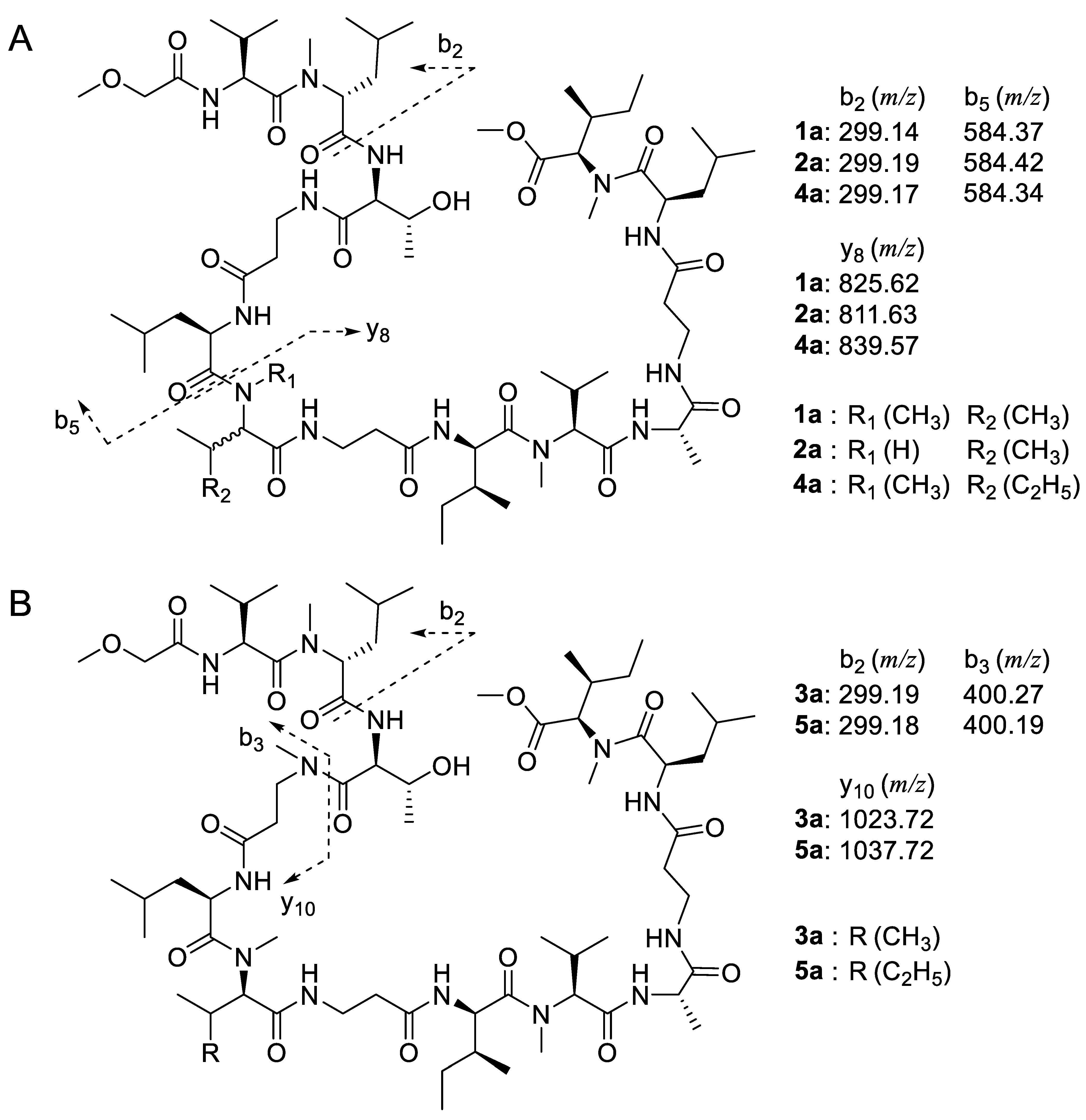 Marinedrugs 20 00661 g002 Marinedrugs 20 00661 g002