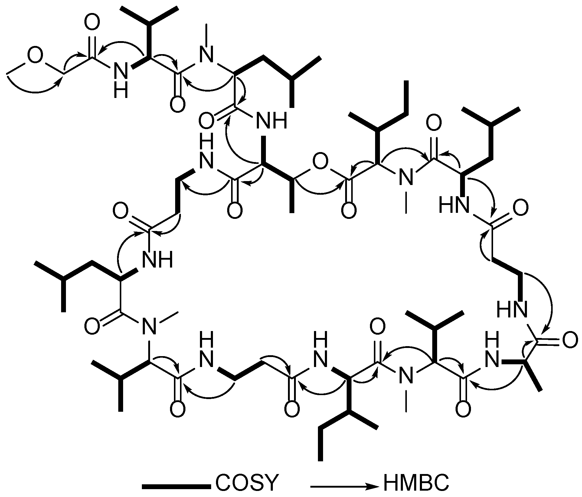 Marinedrugs 20 00661 g003 Marinedrugs 20 00661 g003