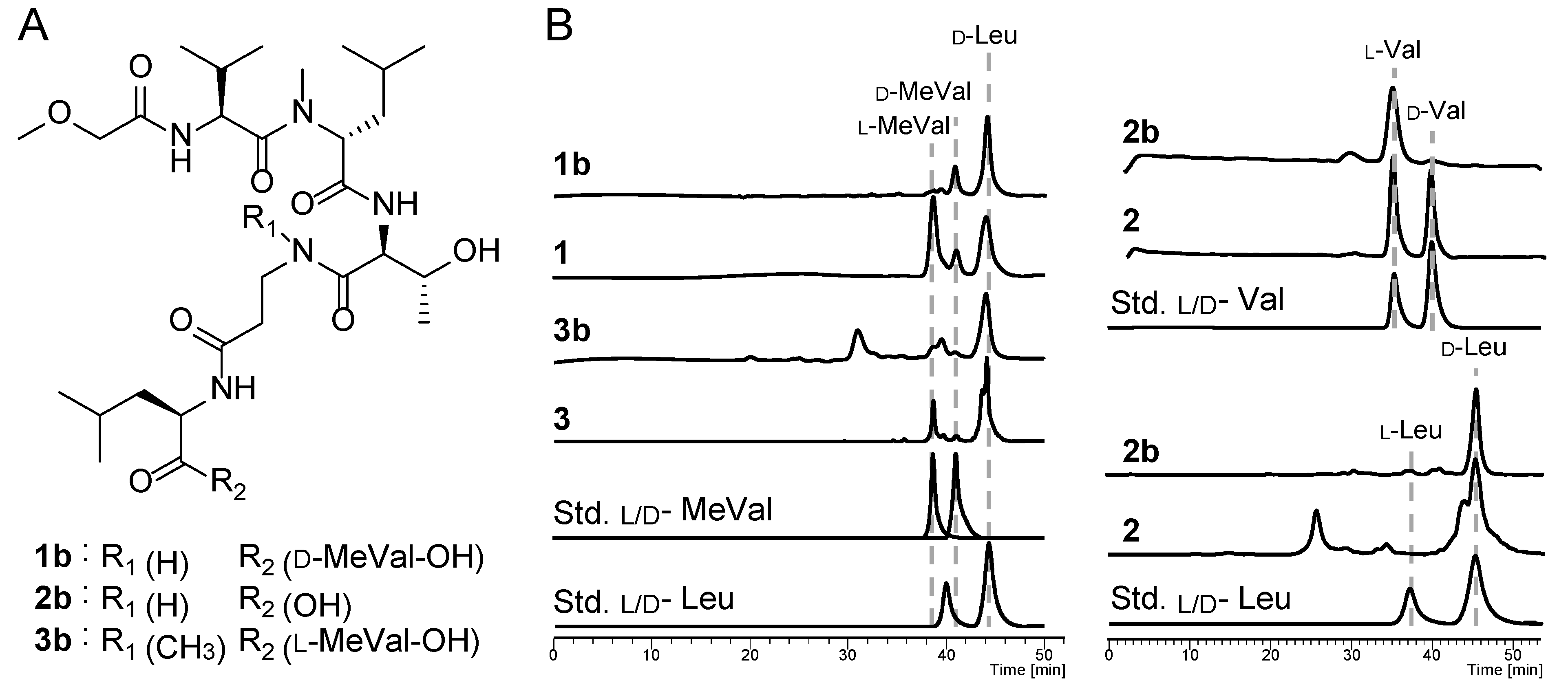 Marinedrugs 20 00661 g004 Marinedrugs 20 00661 g004