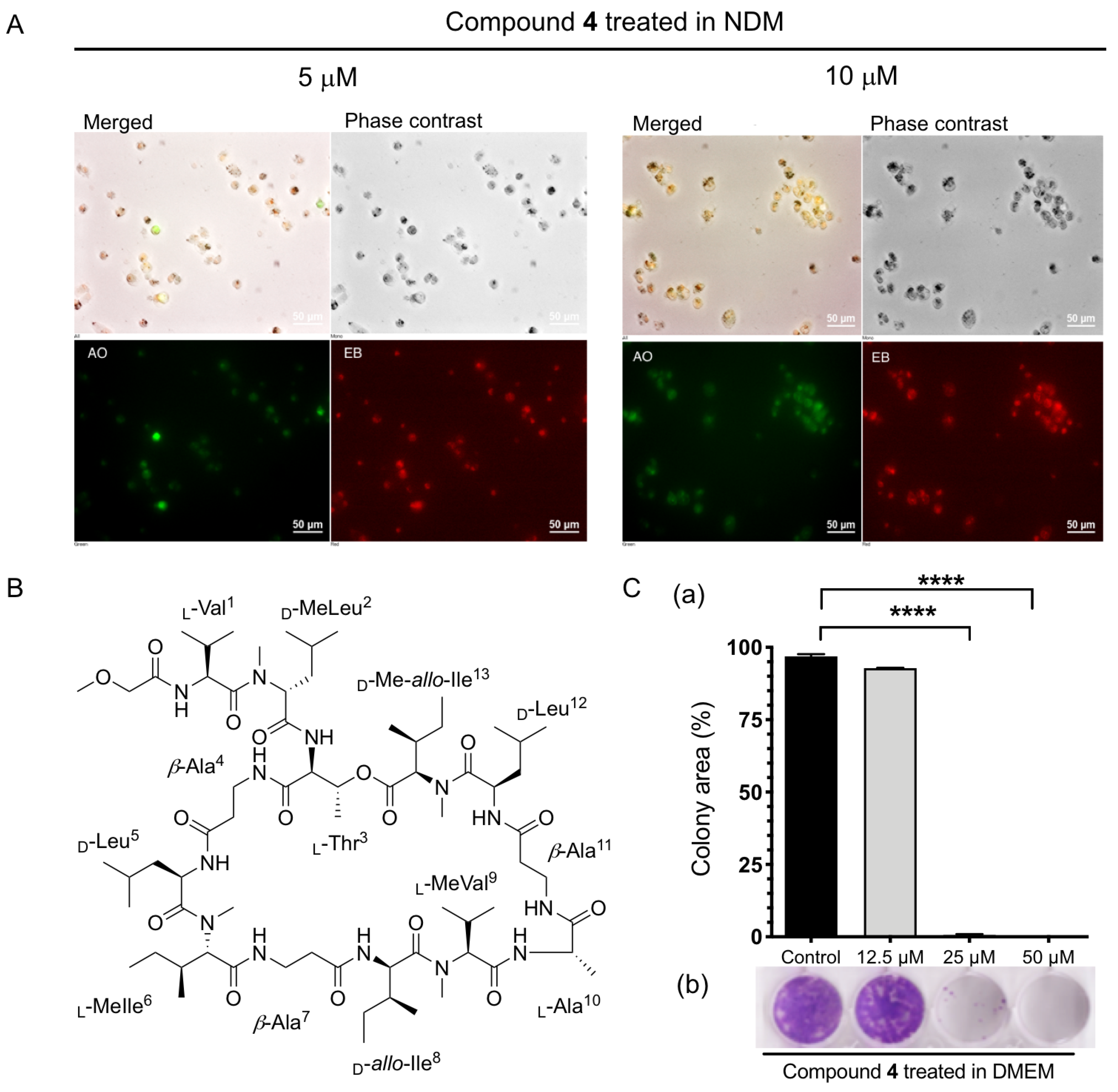 Marinedrugs 20 00661 g006 Marinedrugs 20 00661 g006