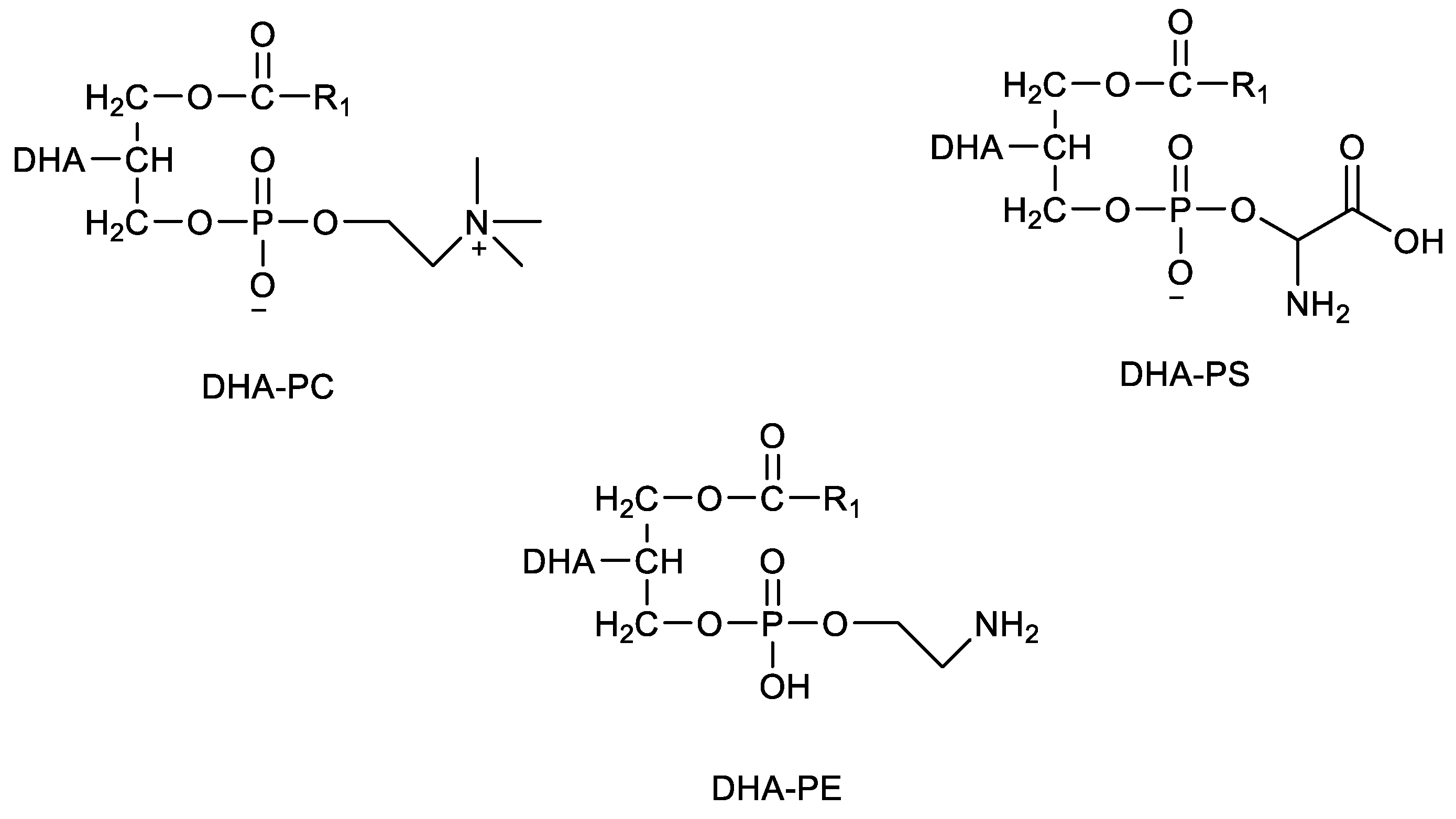 Marine Drugs Free FullText Marine Sources of DHARich