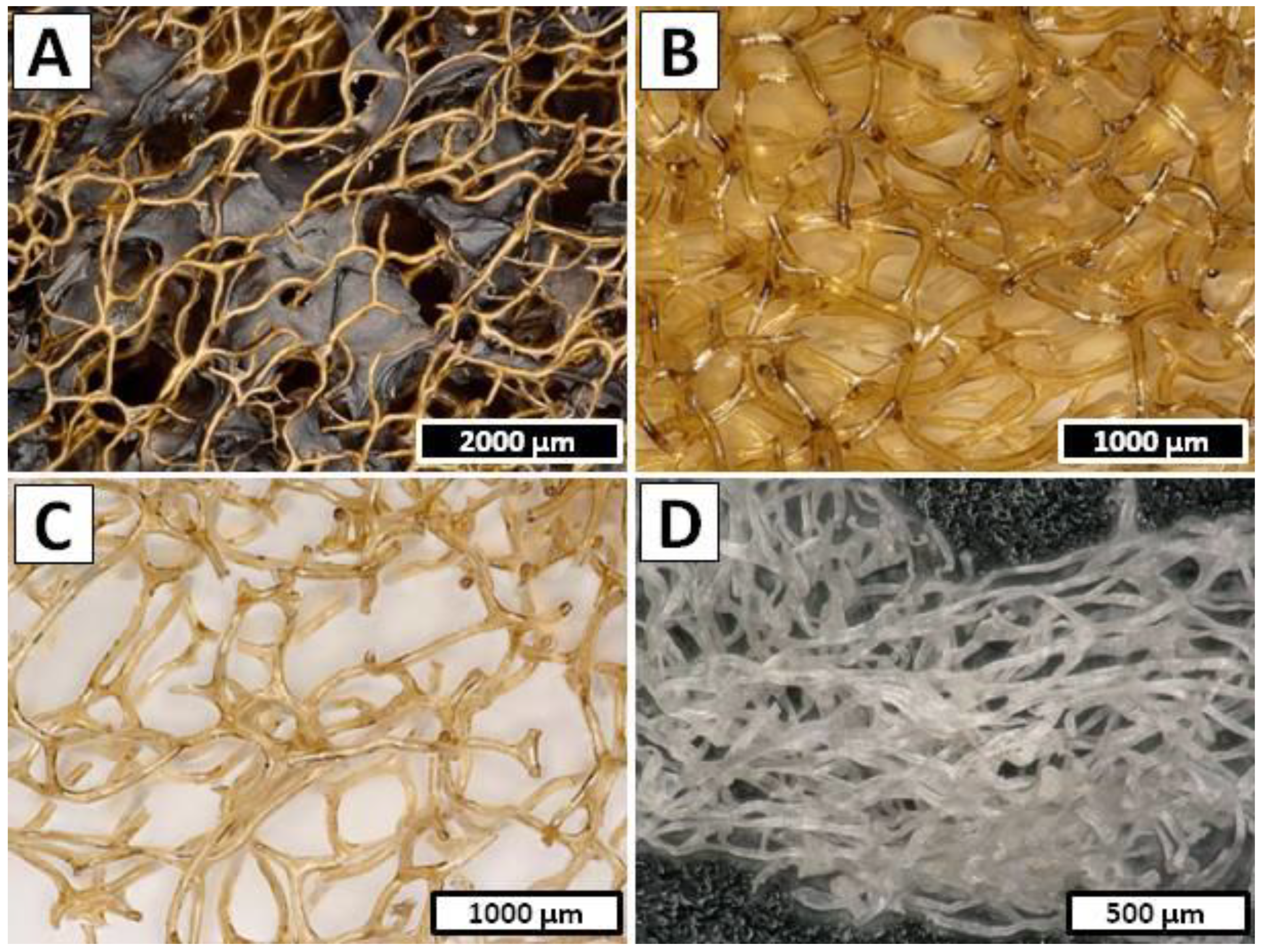 Marinedrugs 20 00665 g002 Marinedrugs 20 00665 g002