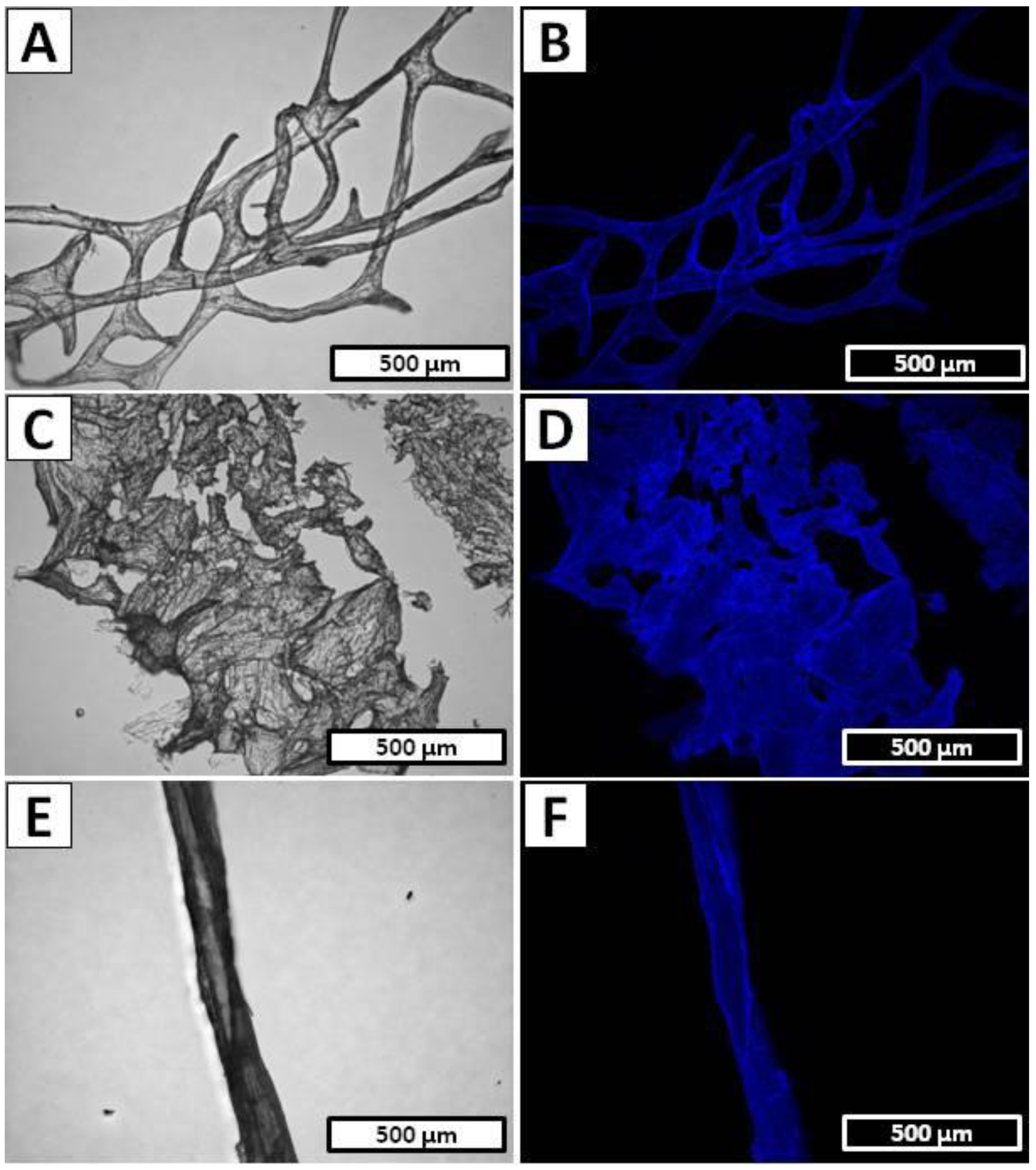 Marinedrugs 20 00665 g006 Marinedrugs 20 00665 g006