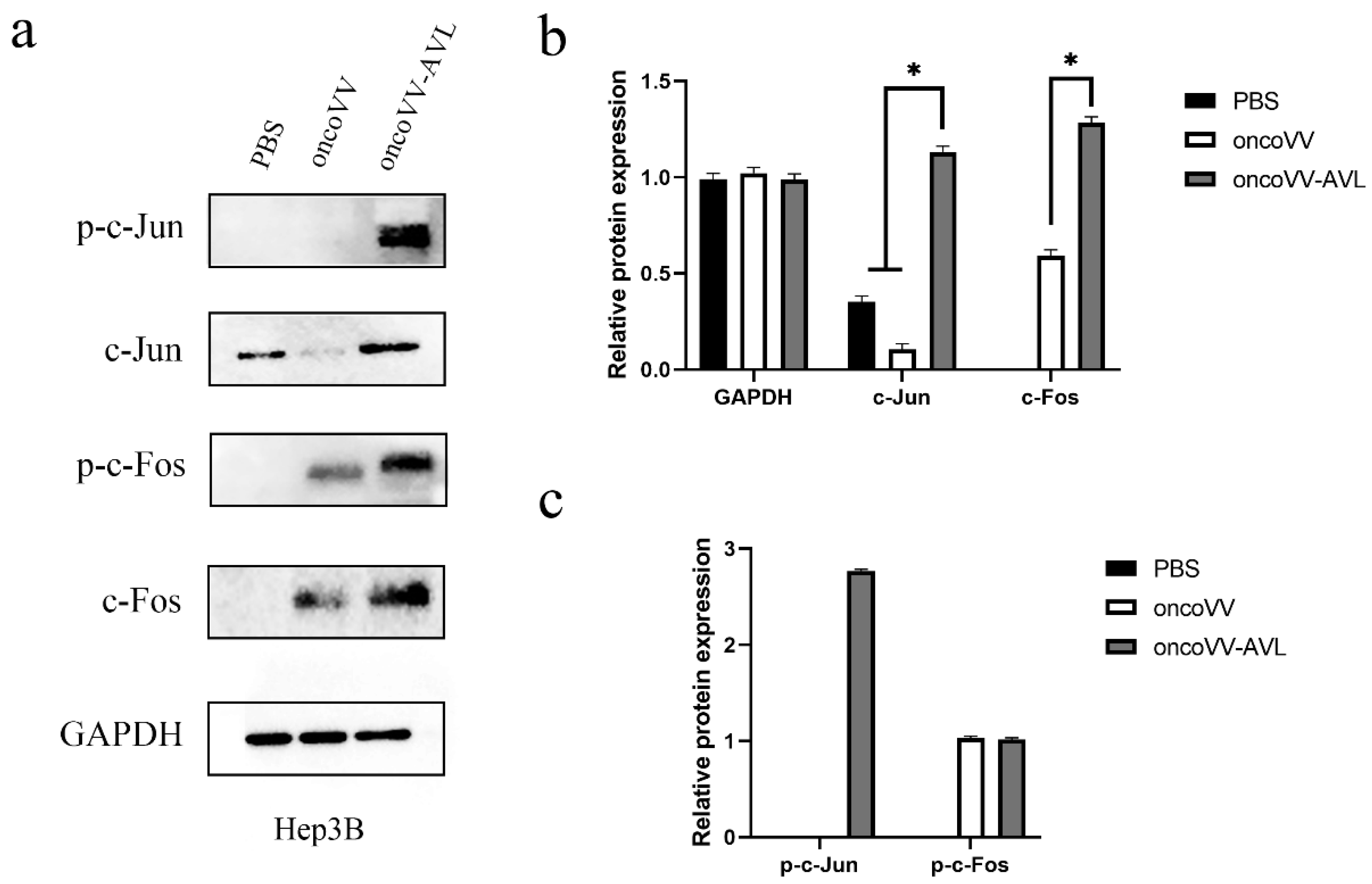 Marinedrugs 20 00667 g005 Marinedrugs 20 00667 g005
