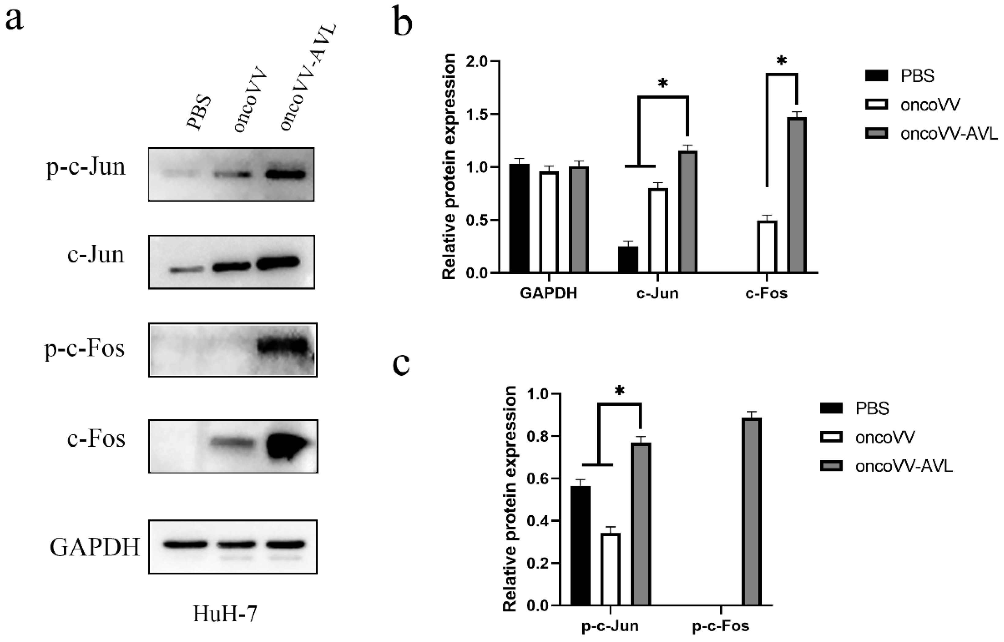 Marinedrugs 20 00667 g007 Marinedrugs 20 00667 g007
