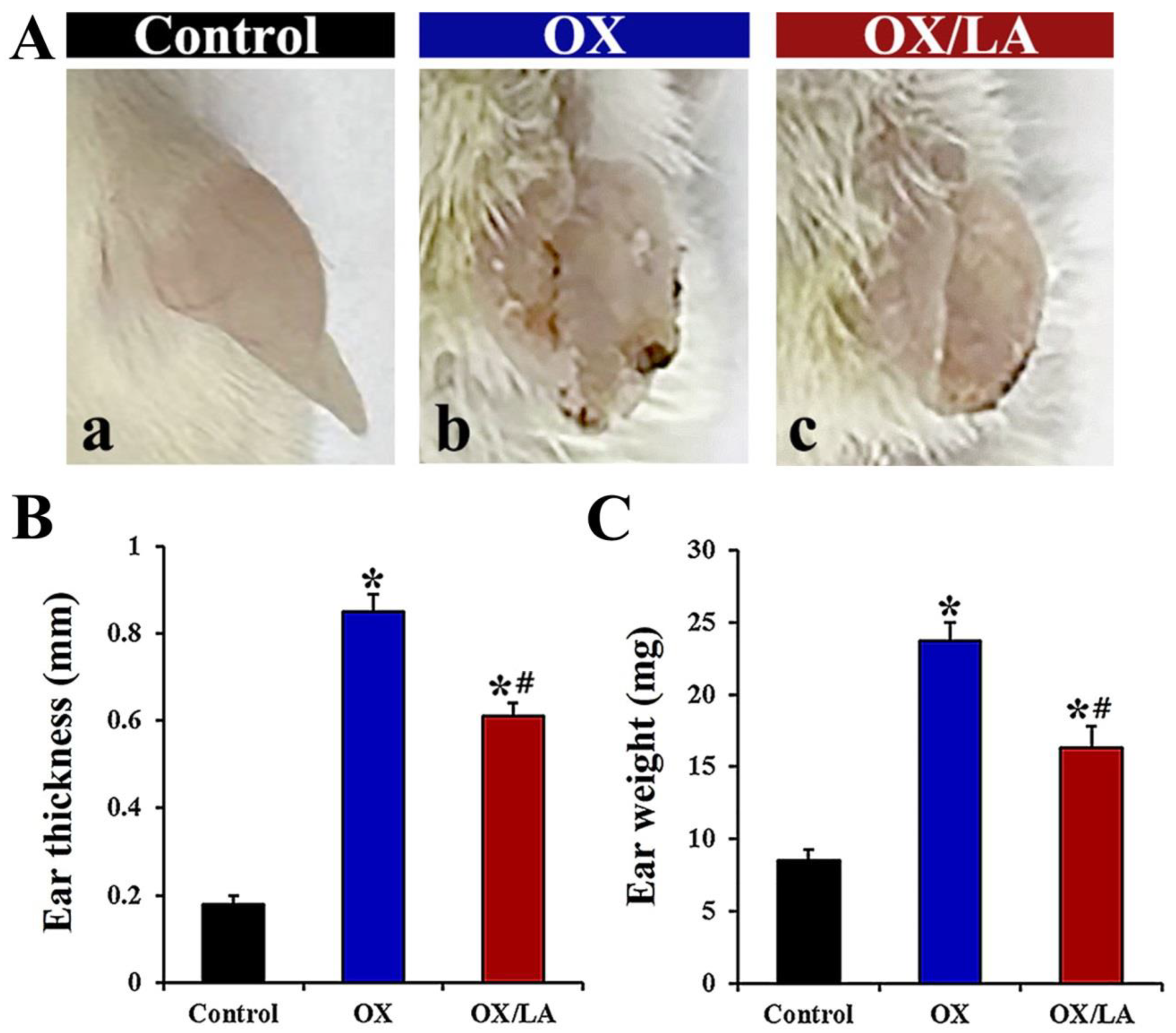 Marinedrugs 20 00669 g002