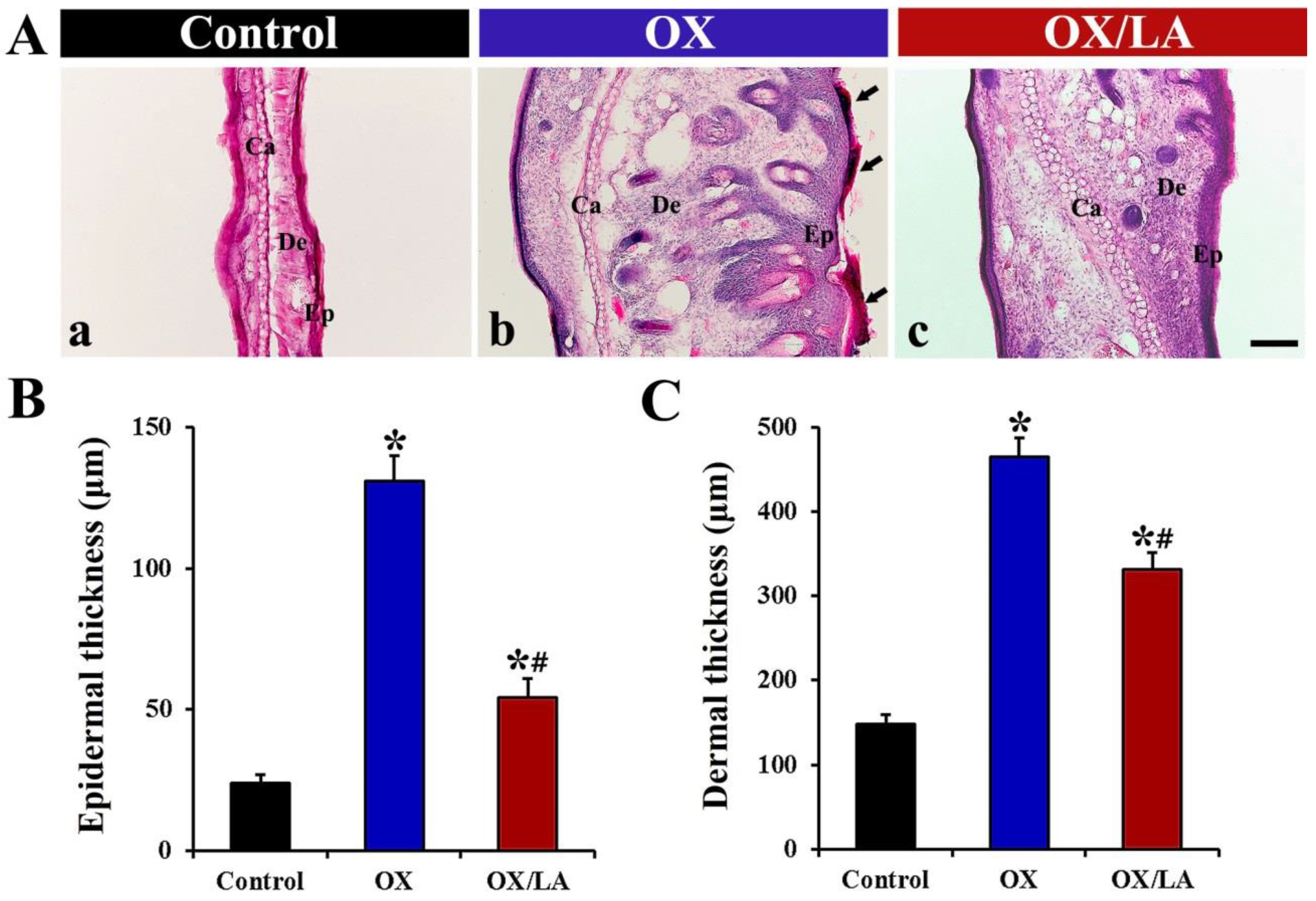 Marinedrugs 20 00669 g003