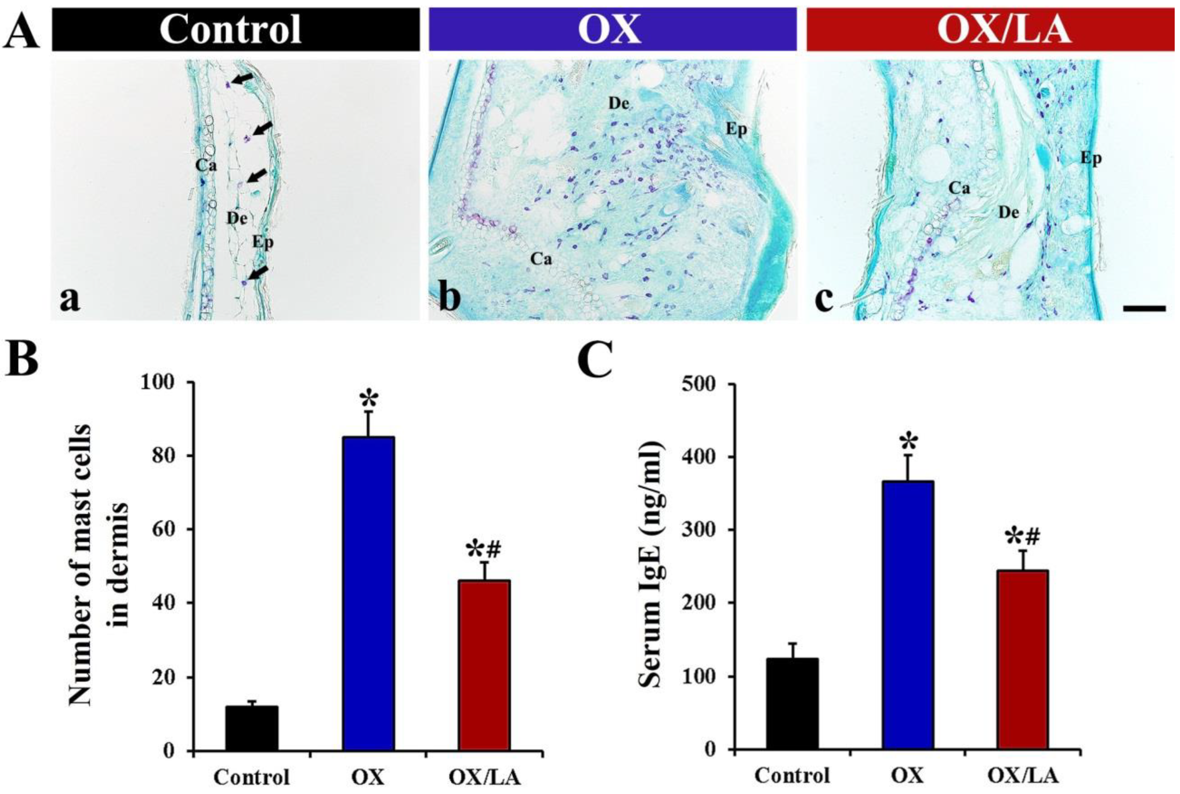 Marinedrugs 20 00669 g004