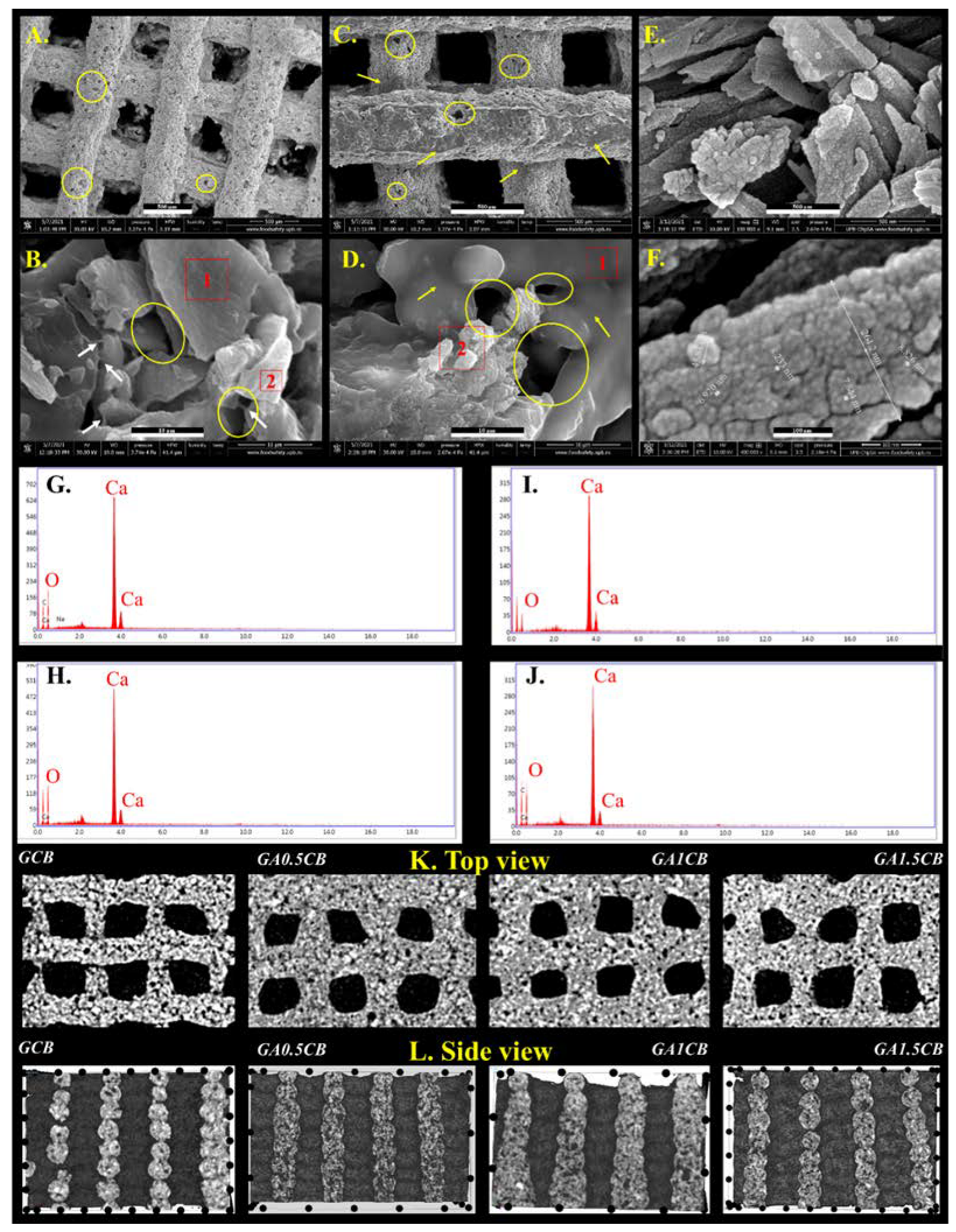 Marinedrugs 20 00670 g003