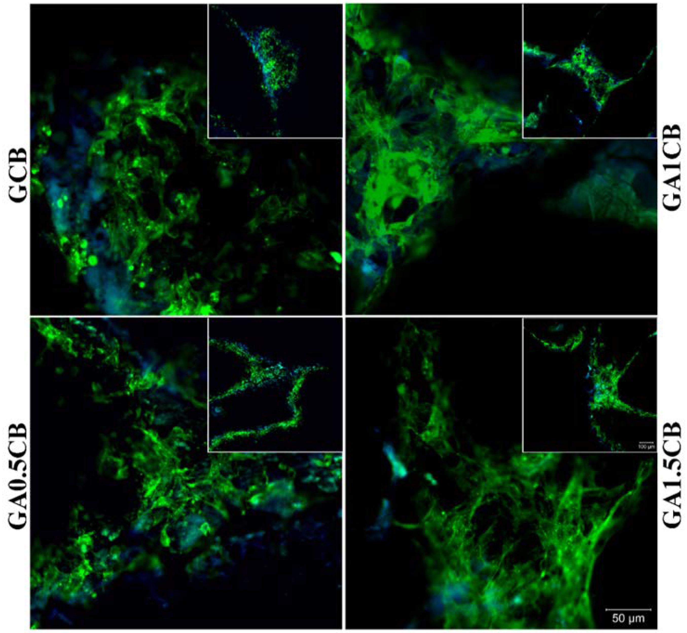 Marinedrugs 20 00670 g007