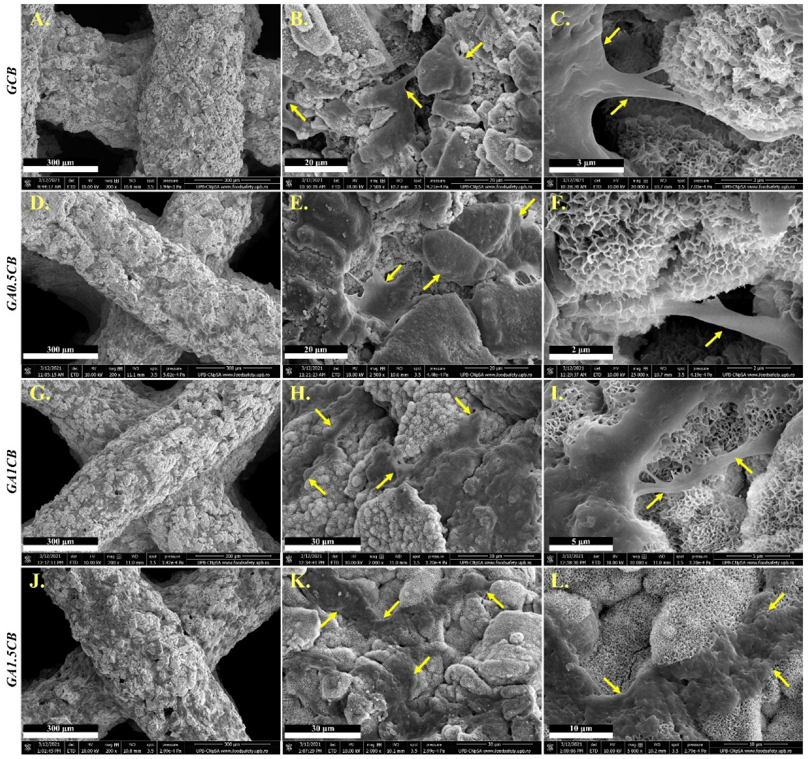 Marinedrugs 20 00670 g008