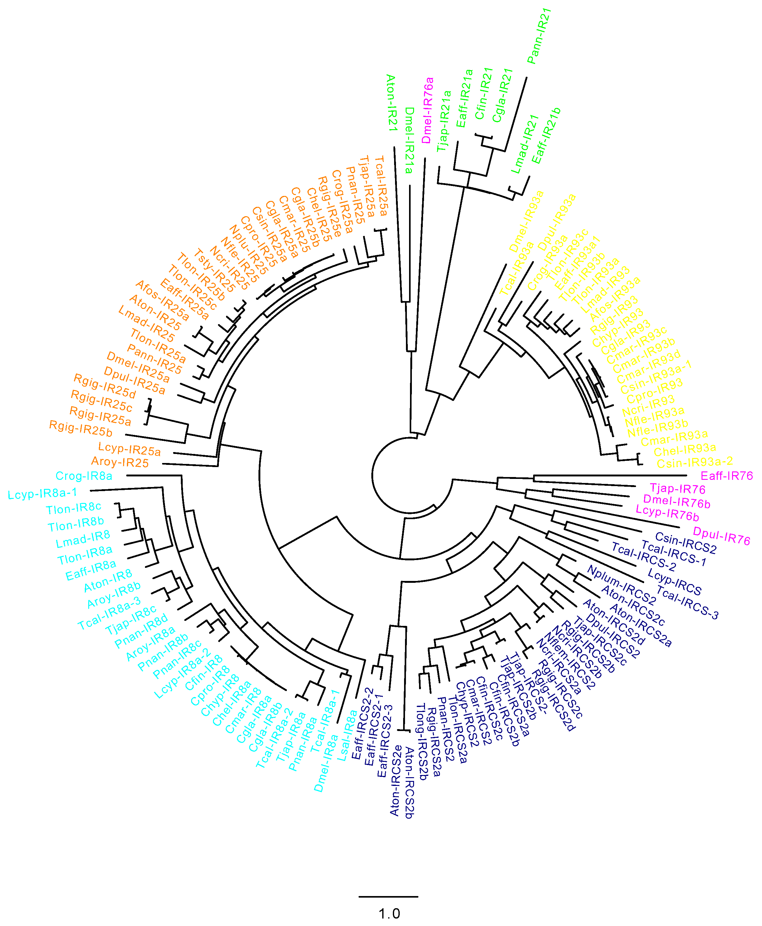 Marinedrugs 20 00681 g002 Marinedrugs 20 00681 g002