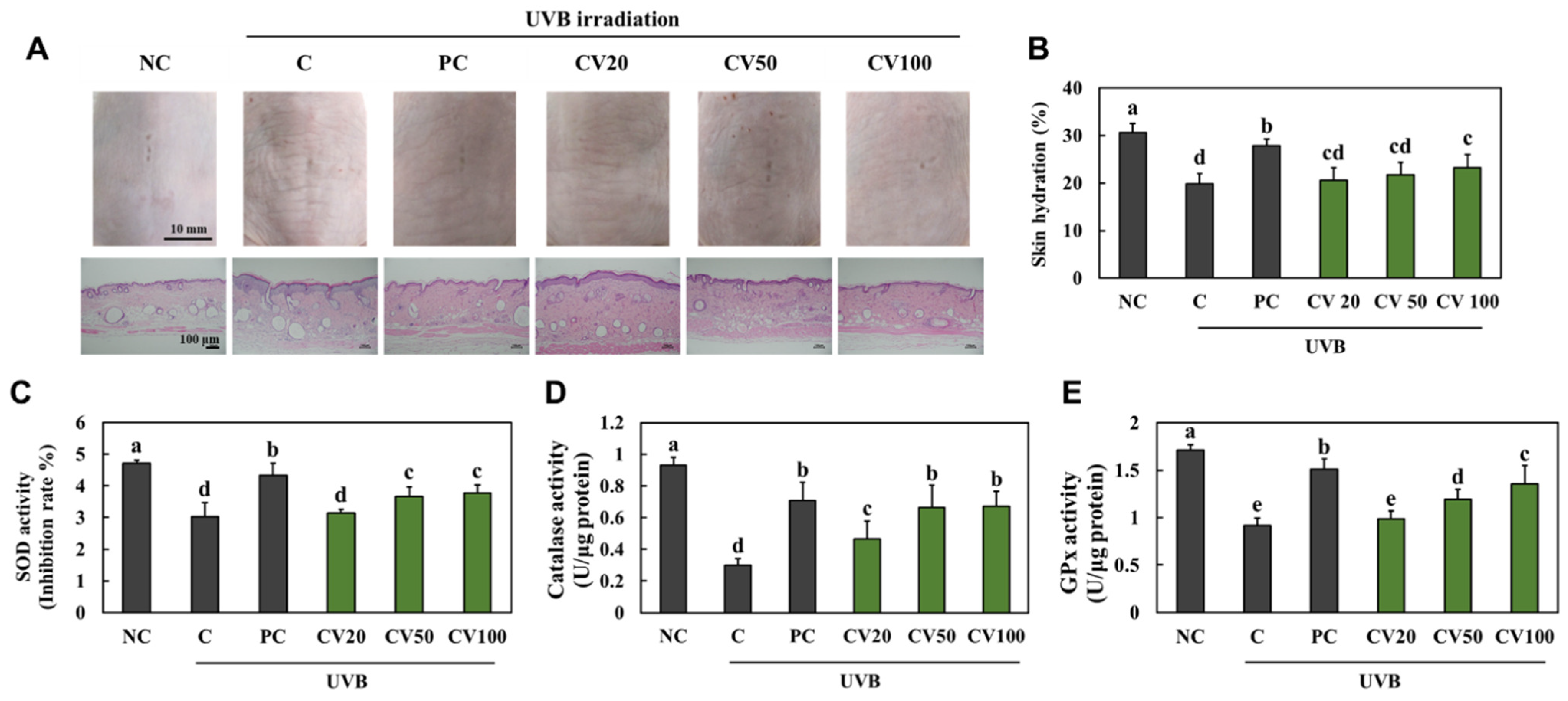 Marinedrugs 20 00685 g001