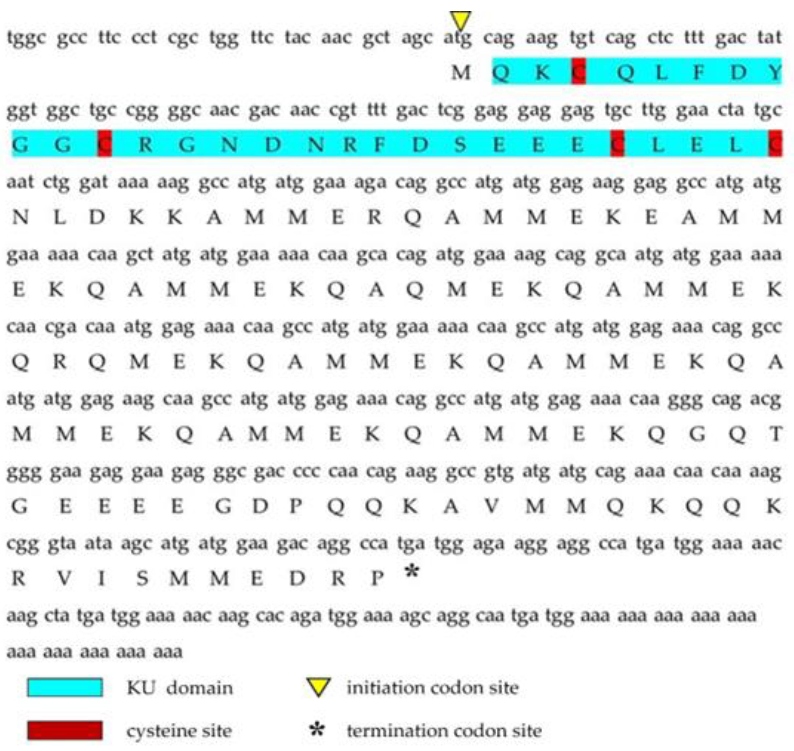 Marinedrugs 20 00686 g001 Marinedrugs 20 00686 g001