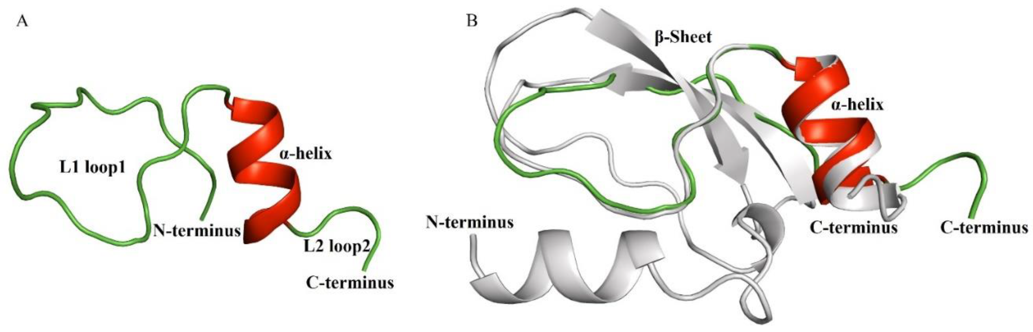 Marinedrugs 20 00686 g004 Marinedrugs 20 00686 g004