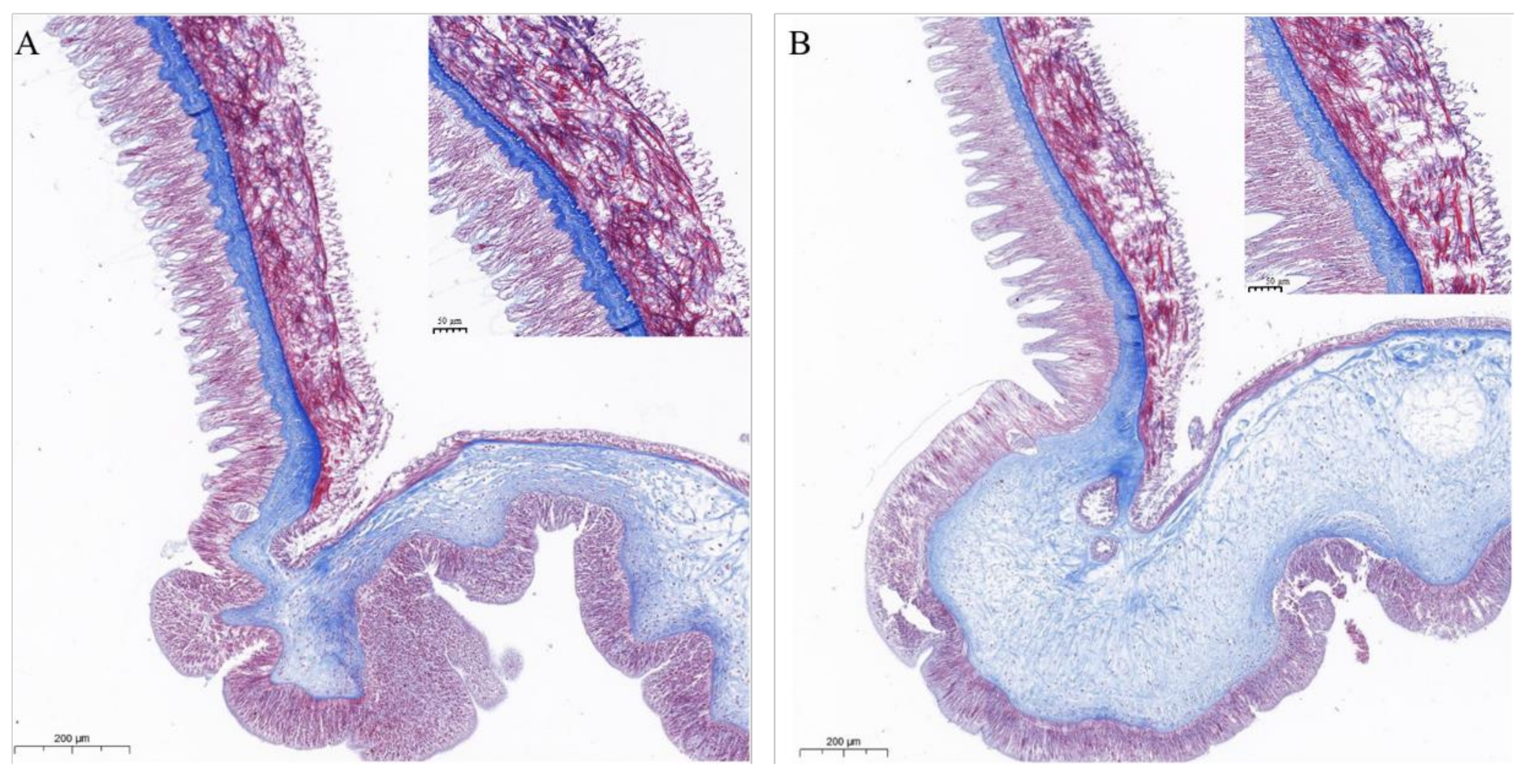 Marinedrugs 20 00686 g009 Marinedrugs 20 00686 g009