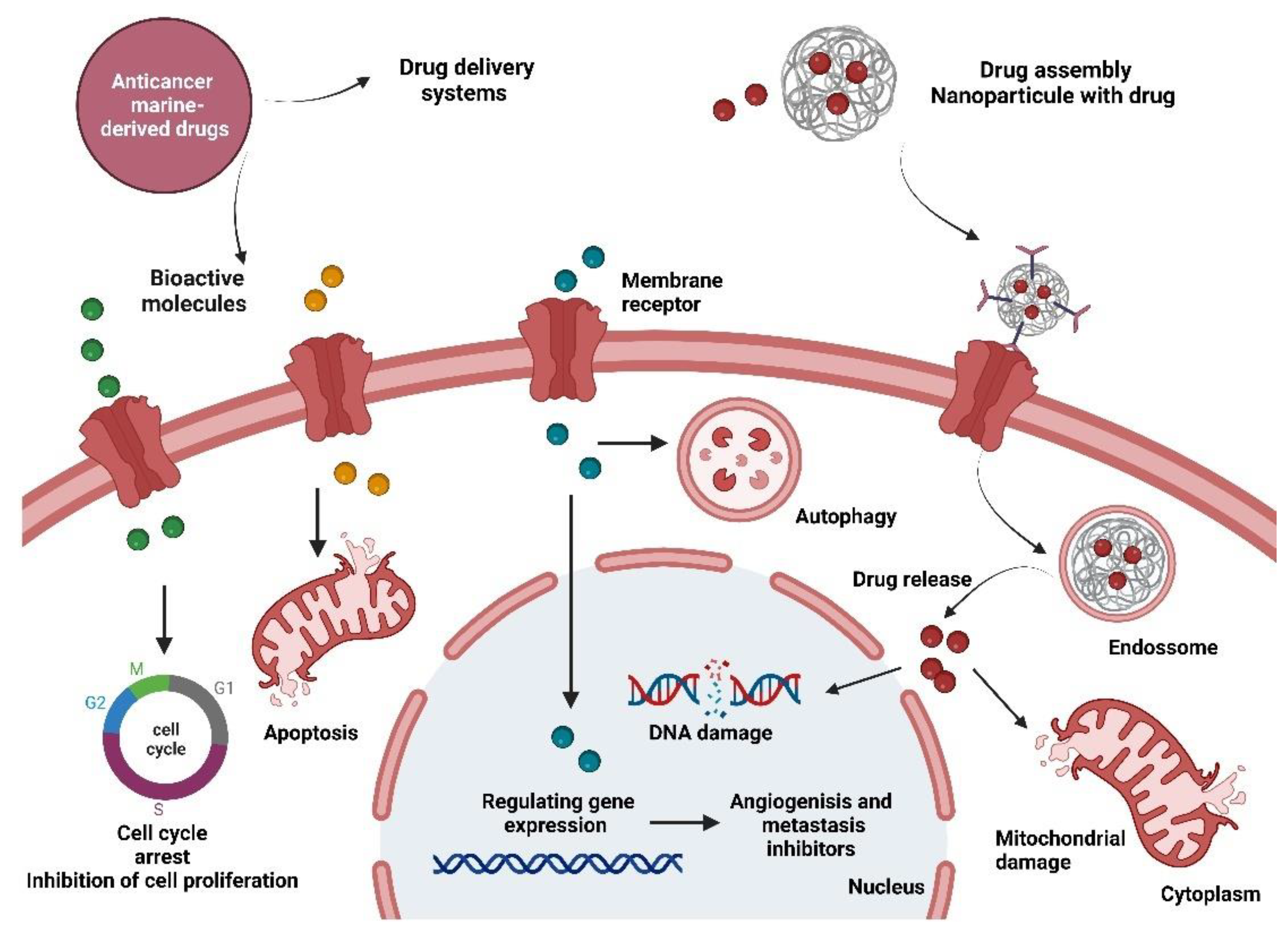 Marinedrugs 20 00689 g002