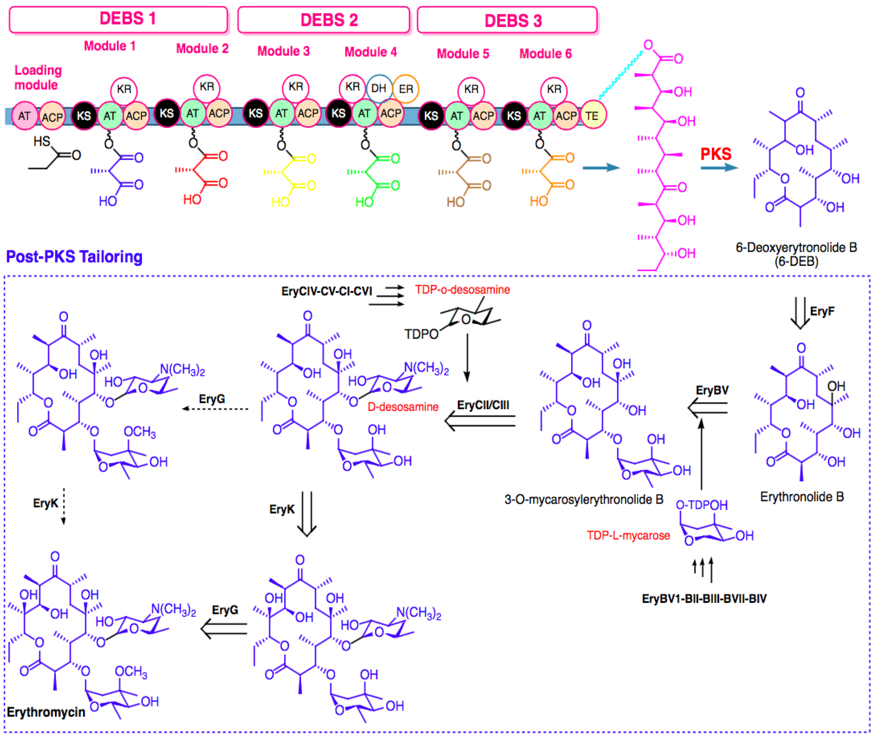 Marinedrugs 20 00691 g003 Marinedrugs 20 00691 g003