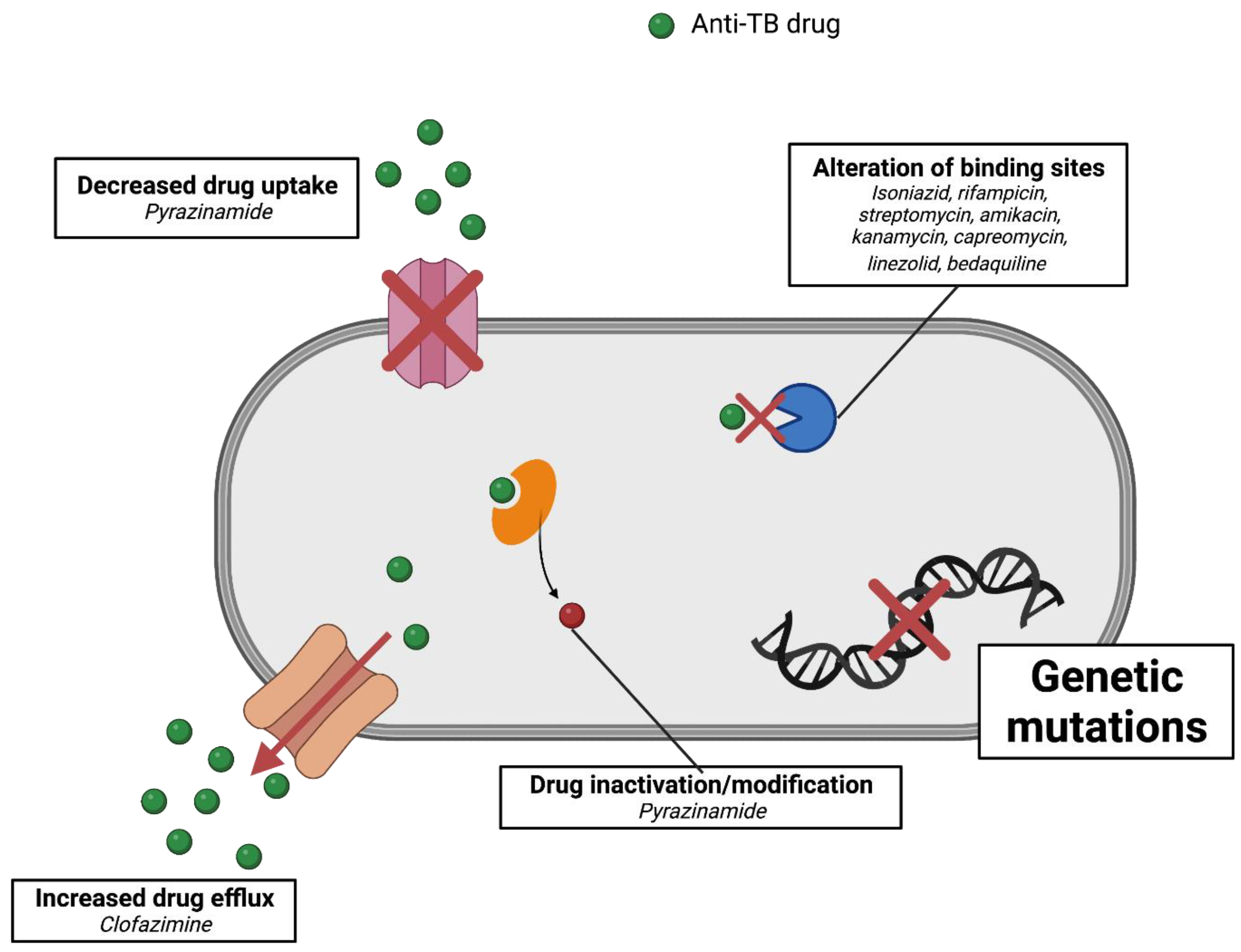 Marinedrugs 20 00691 g004 Marinedrugs 20 00691 g004