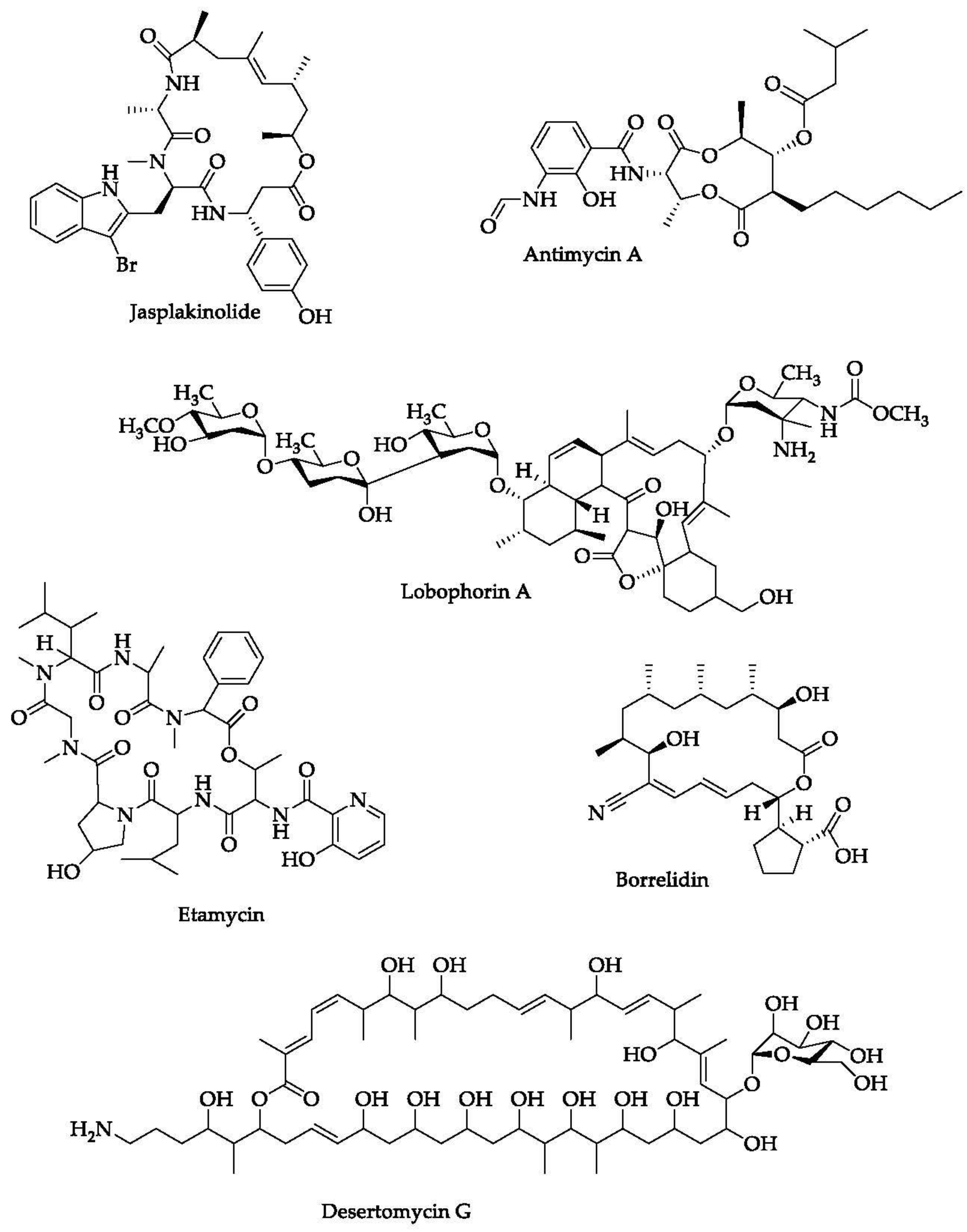 Marinedrugs 20 00691 g006a Marinedrugs 20 00691 g006a
