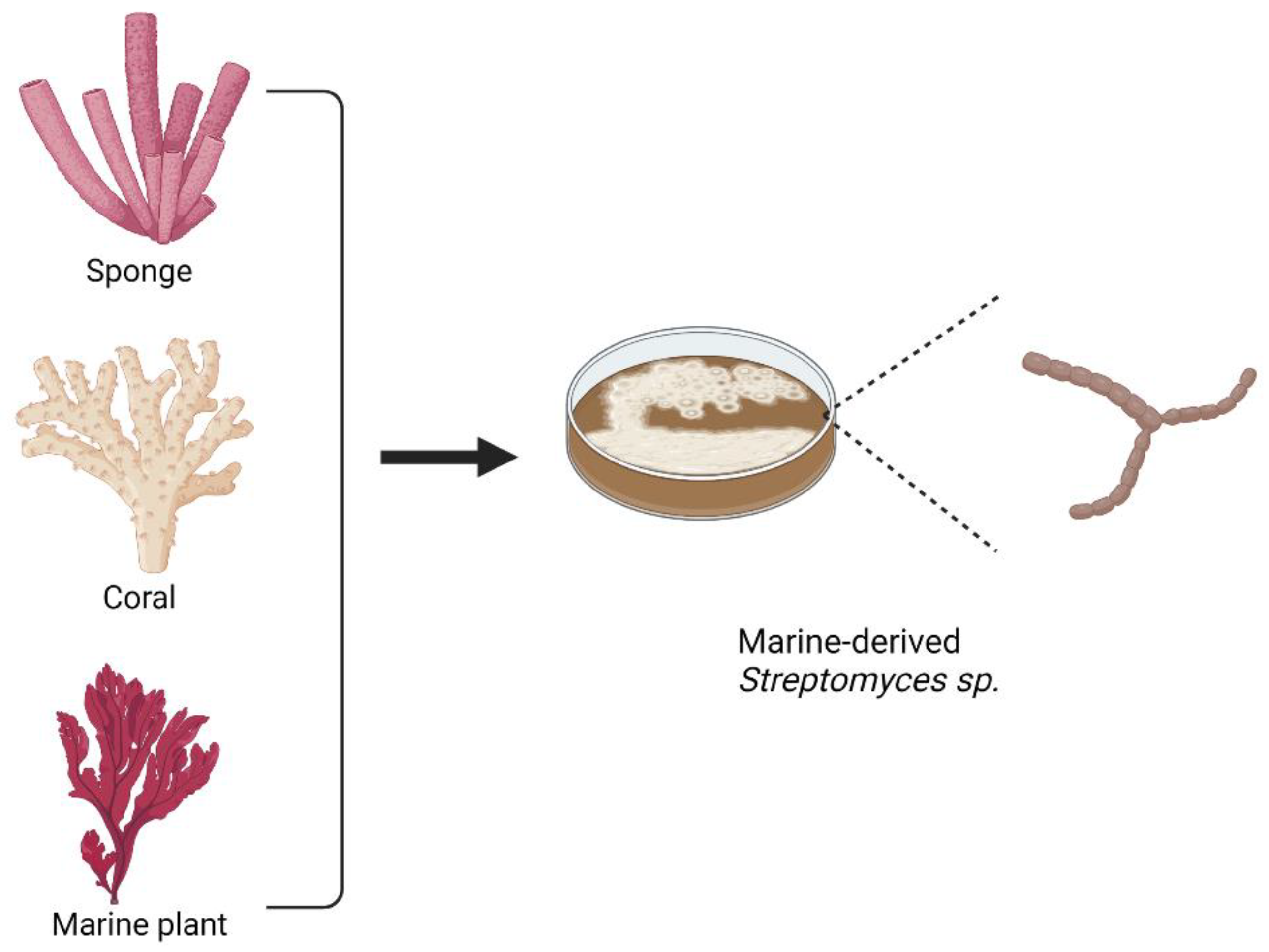 Marinedrugs 20 00691 g007 Marinedrugs 20 00691 g007