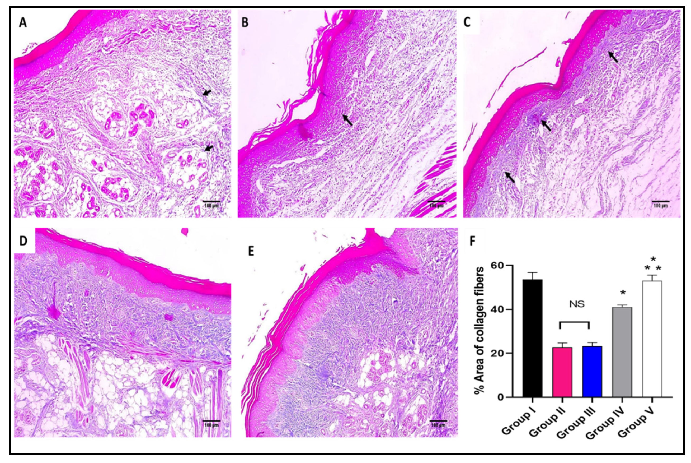 Marinedrugs 20 00694 g007
