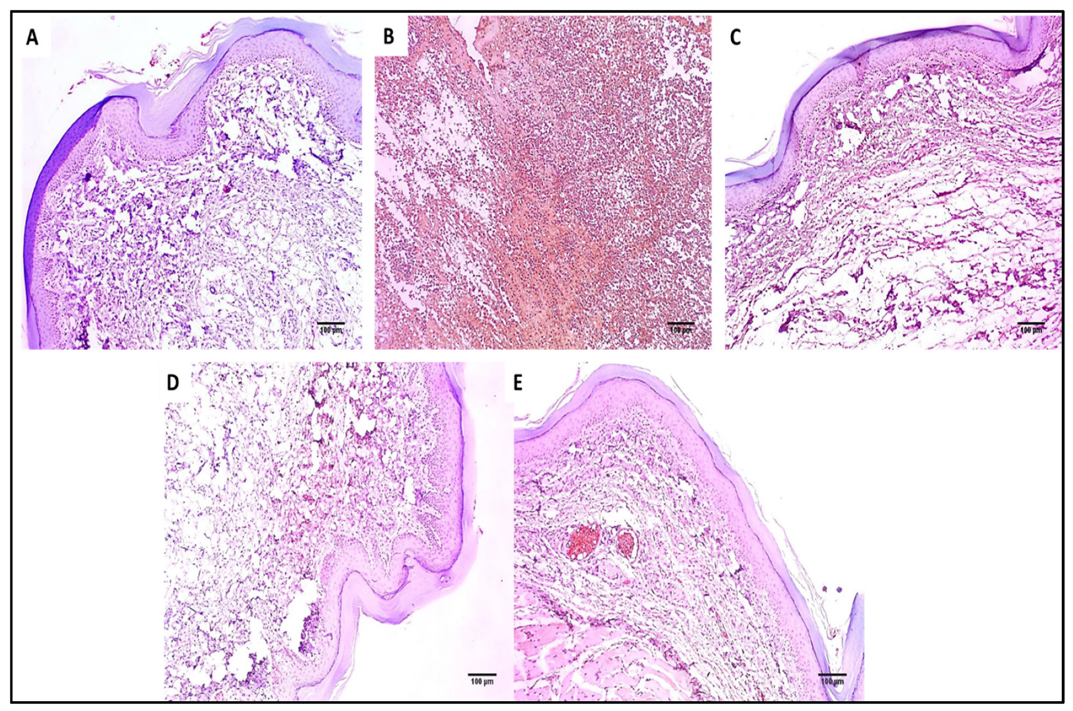 Marinedrugs 20 00694 g009