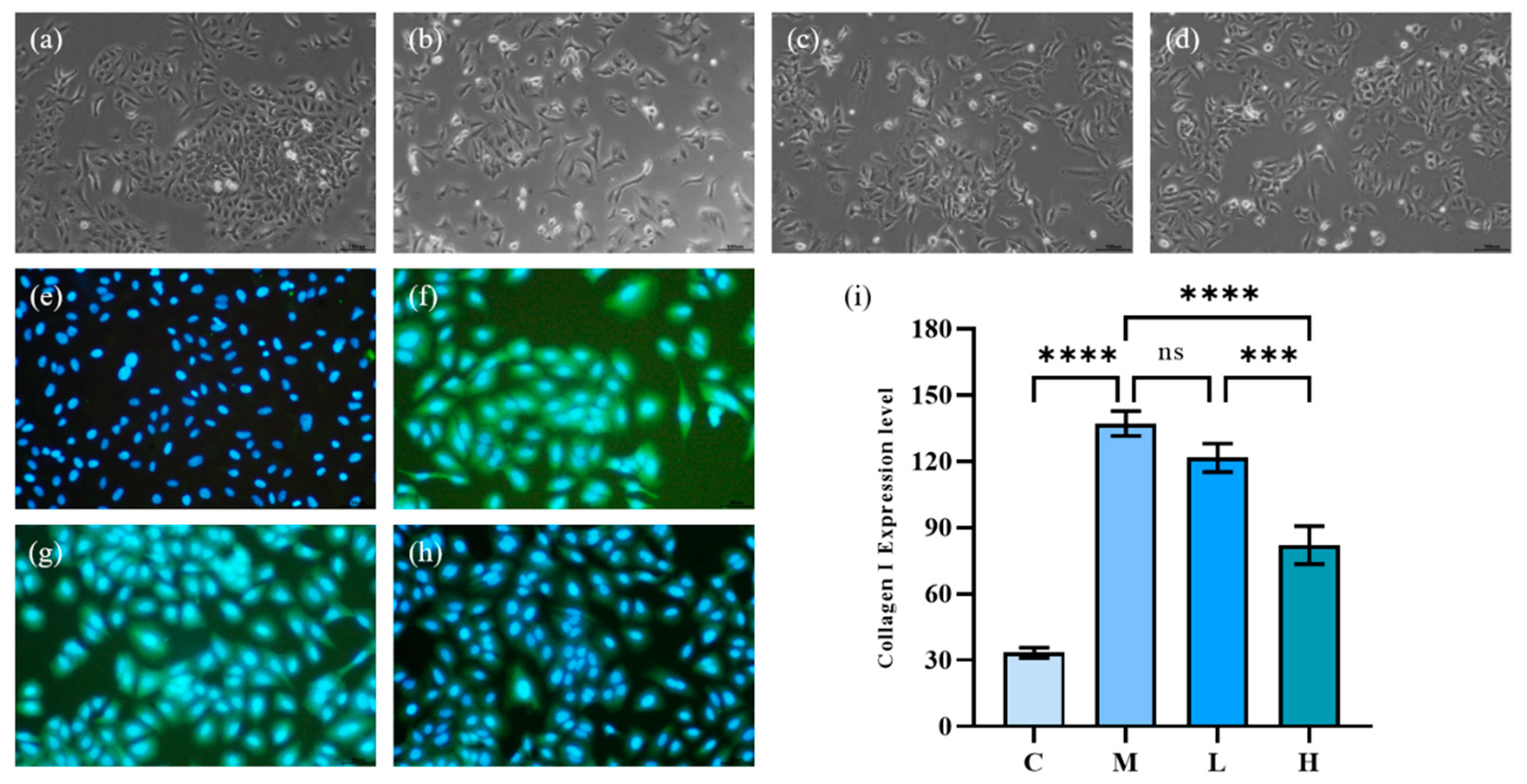 Marinedrugs 20 00696 g005 Marinedrugs 20 00696 g005
