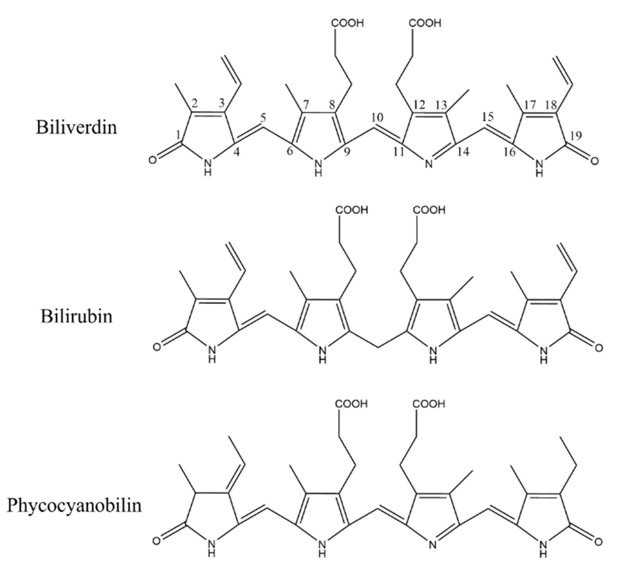 Marinedrugs 20 00696 g011 Marinedrugs 20 00696 g011