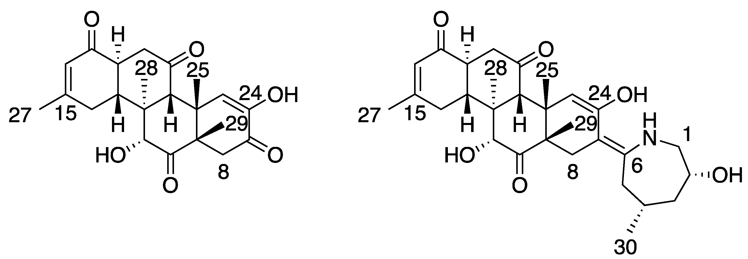 Marinedrugs 20 00699 g007 Marinedrugs 20 00699 g007