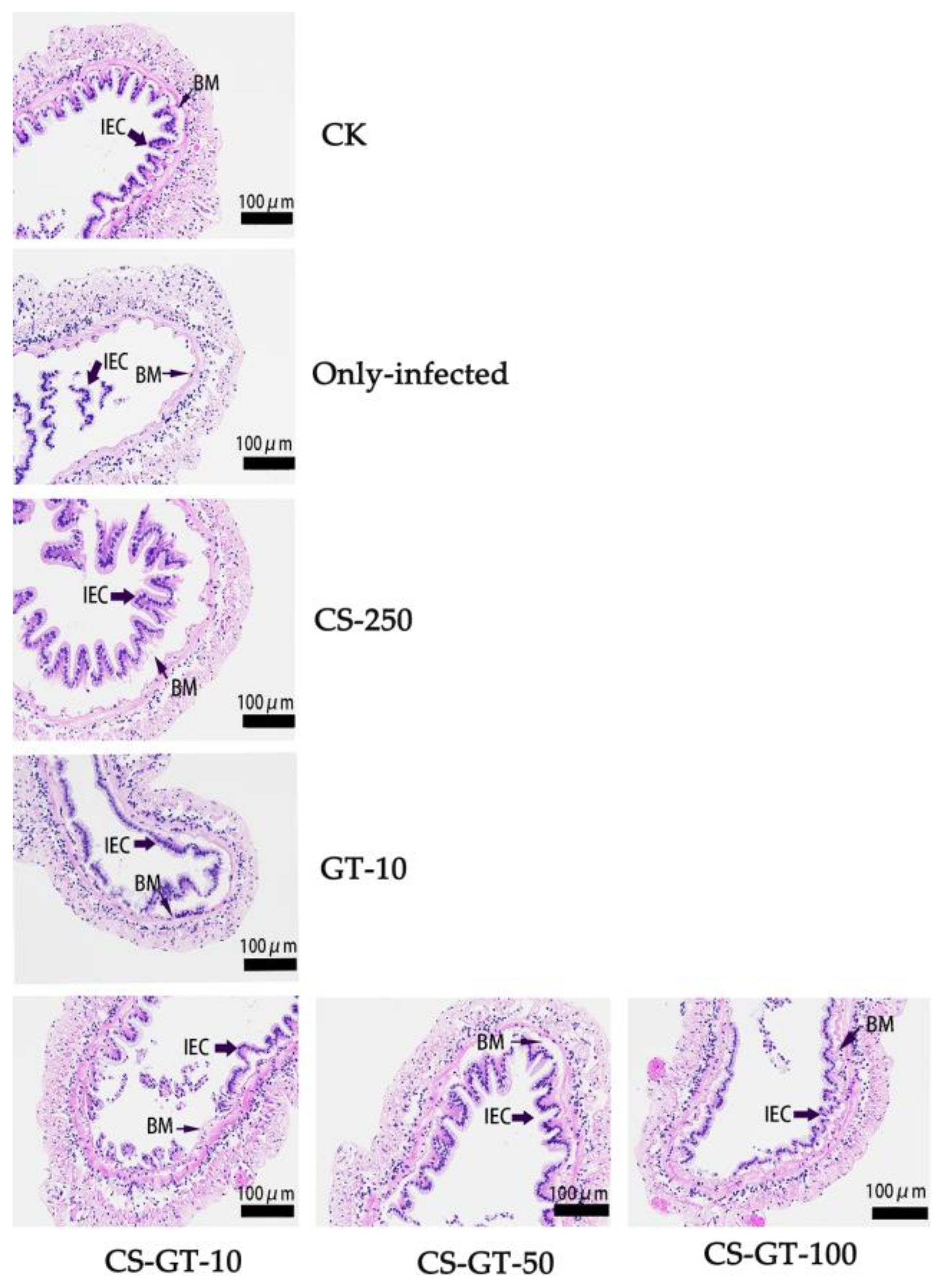 Marinedrugs 20 00702 g004 Marinedrugs 20 00702 g004