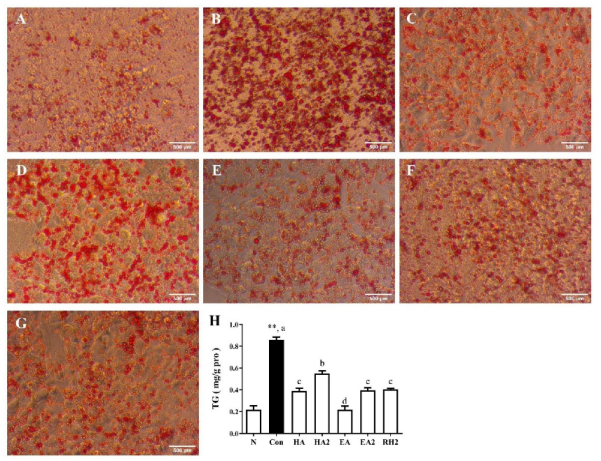 Marinedrugs 20 00703 g002 Marinedrugs 20 00703 g002