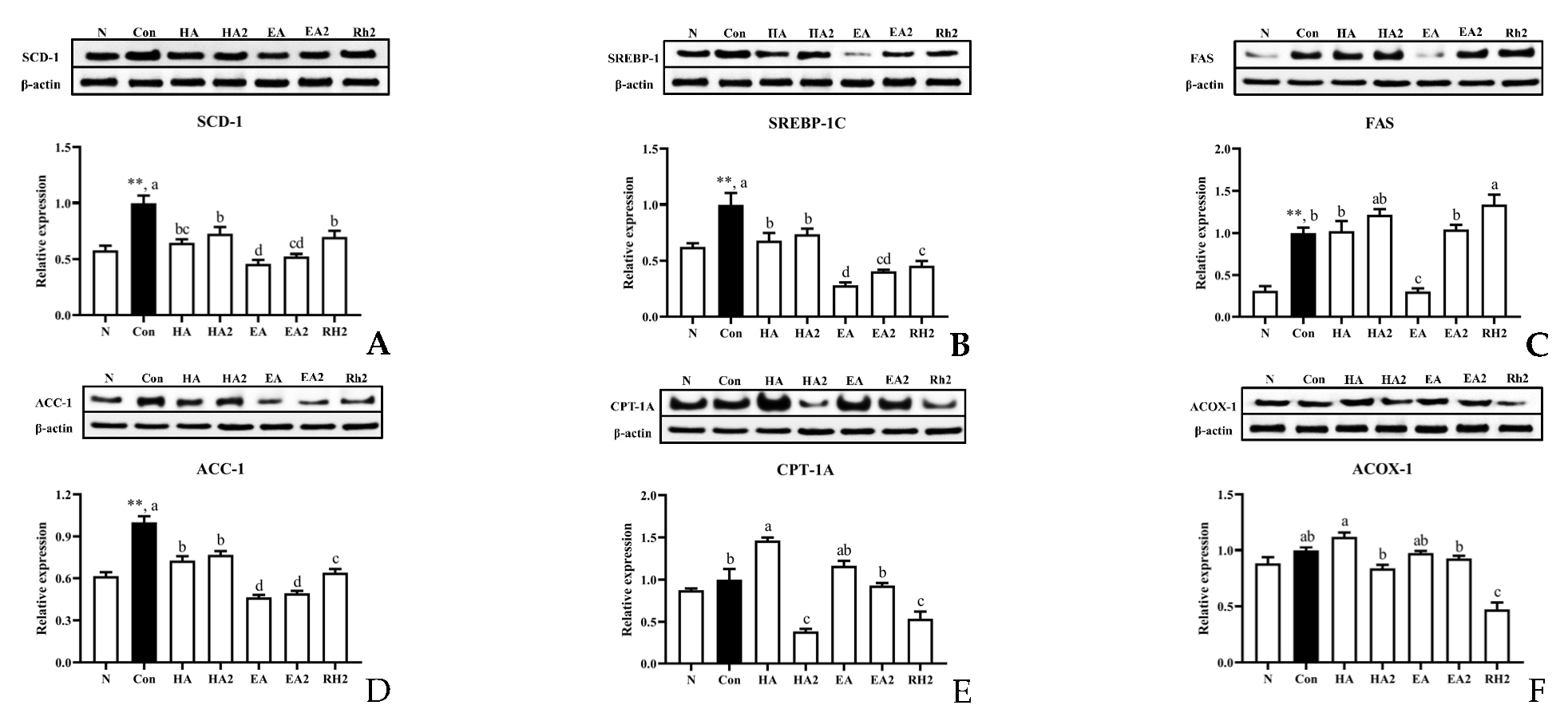 Marinedrugs 20 00703 g003 Marinedrugs 20 00703 g003