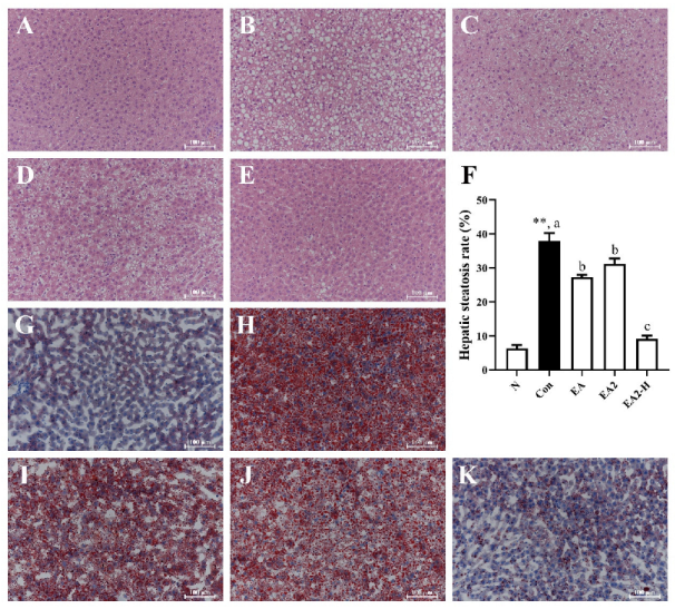Marinedrugs 20 00703 g004 Marinedrugs 20 00703 g004