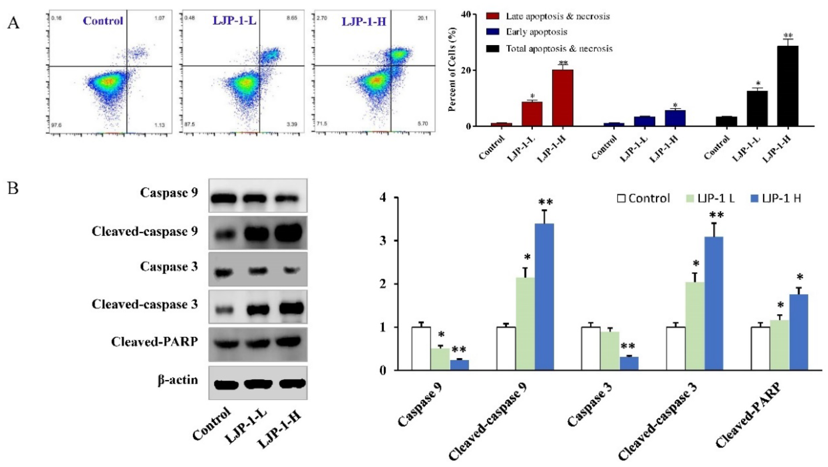 Marinedrugs 20 00704 g003