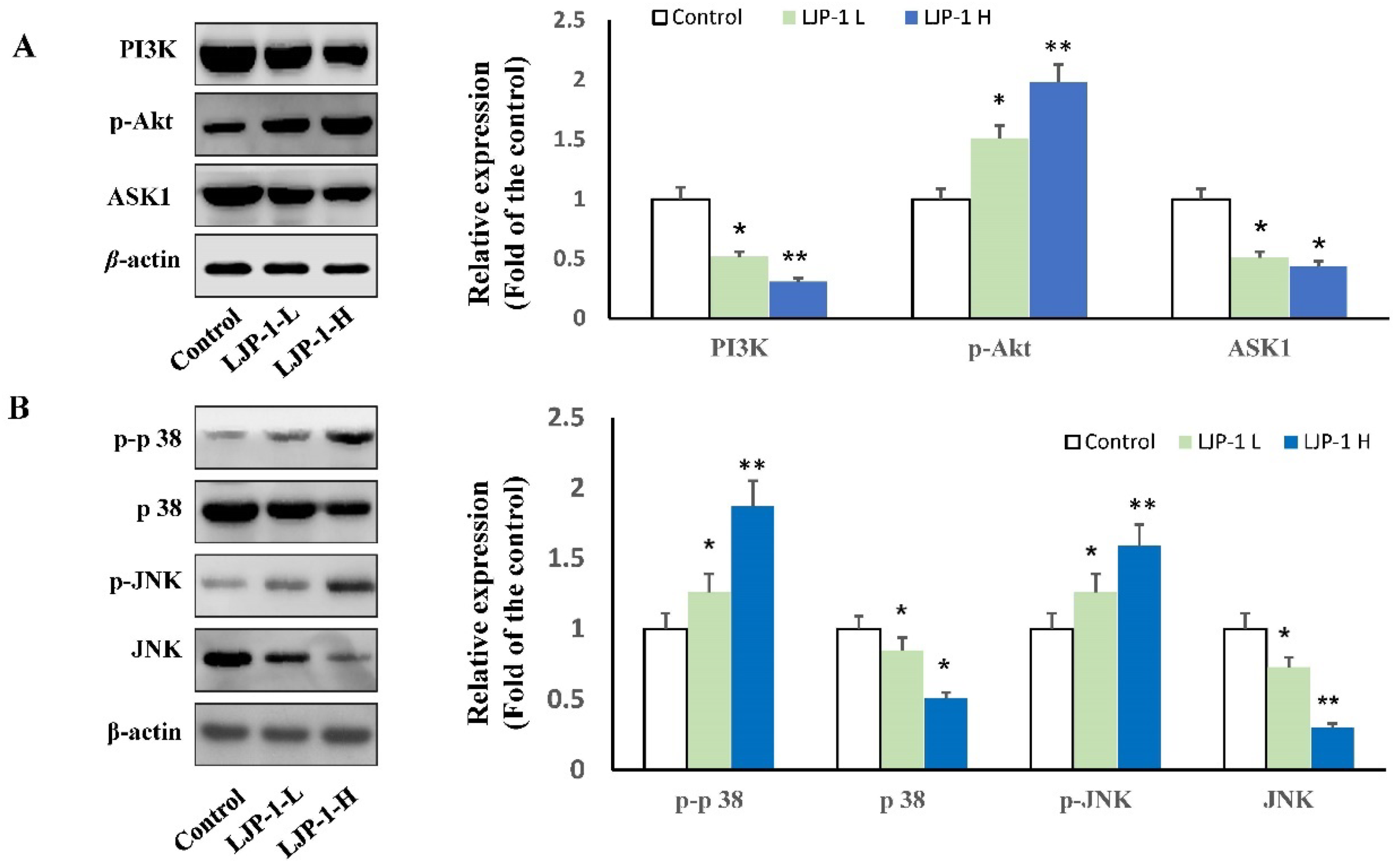 Marinedrugs 20 00704 g004