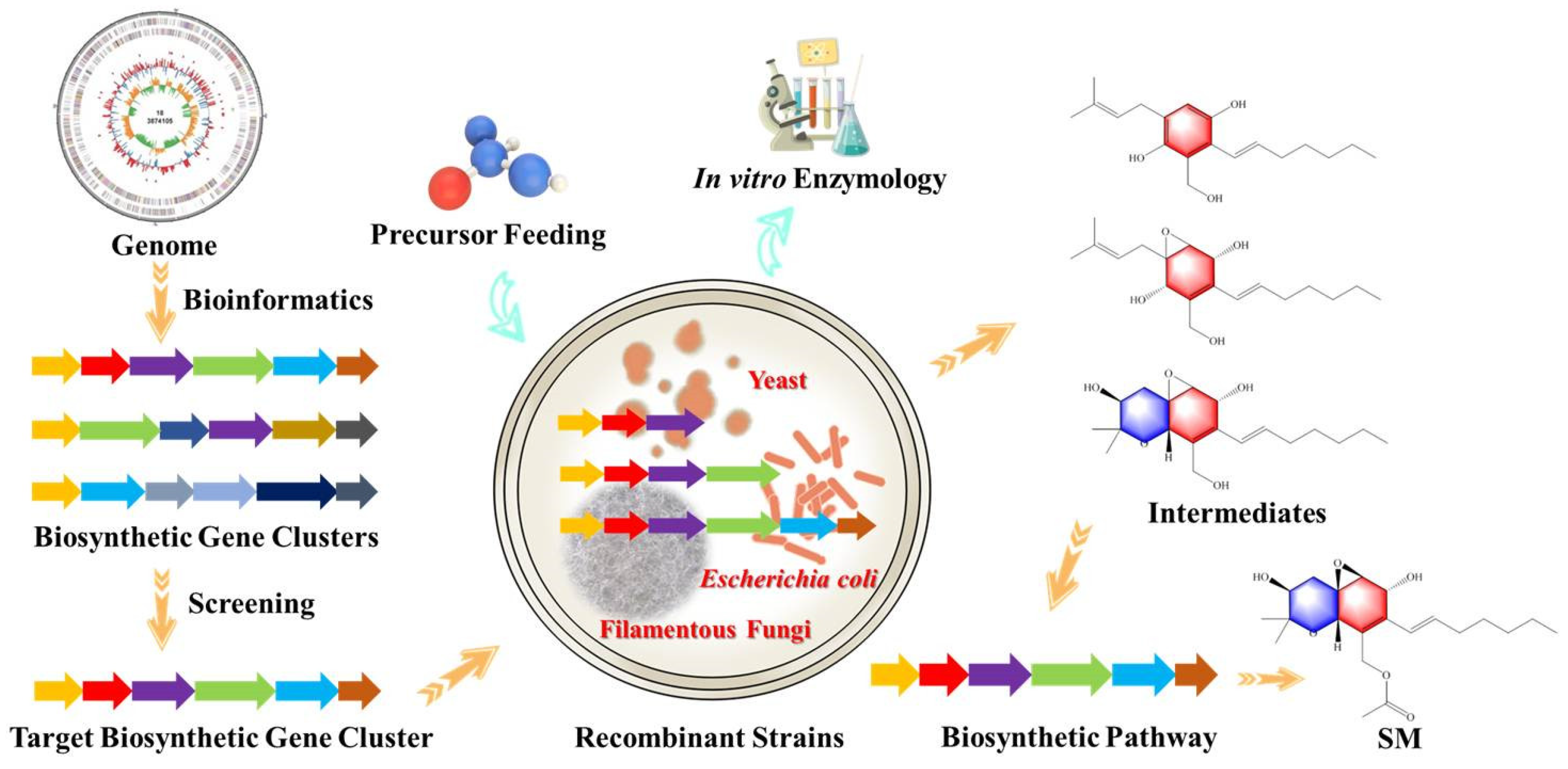Marinedrugs 20 00705 g003 Marinedrugs 20 00705 g003