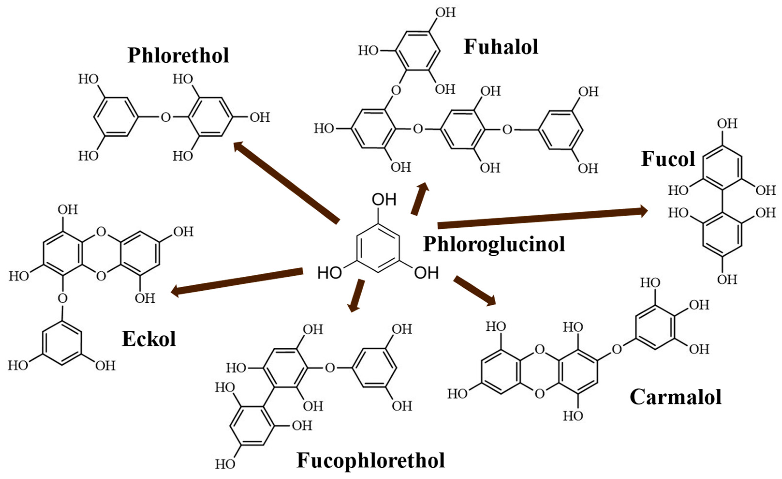 Marinedrugs 20 00706 g001 Marinedrugs 20 00706 g001