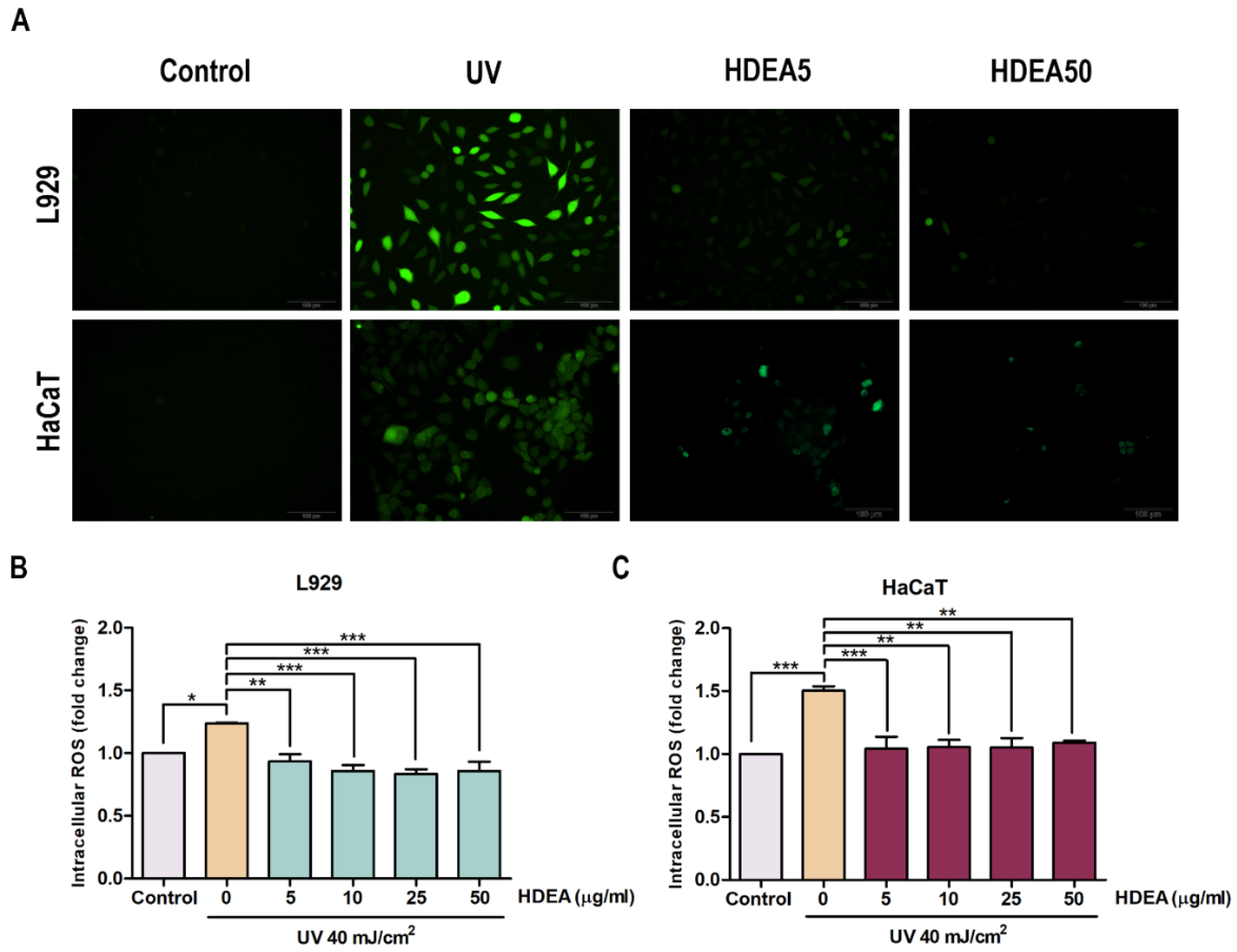 Marinedrugs 20 00707 g003