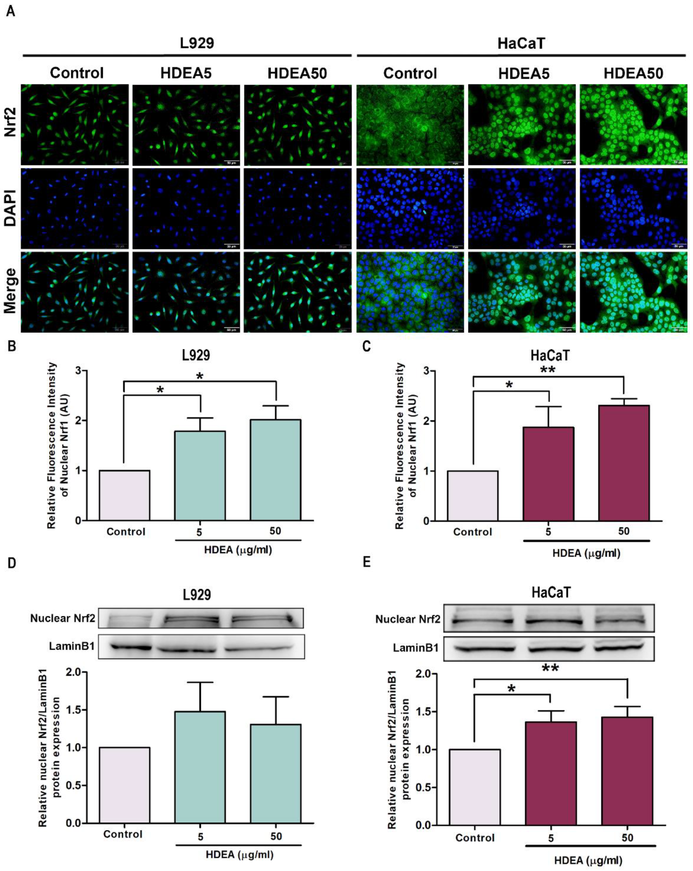Marinedrugs 20 00707 g004