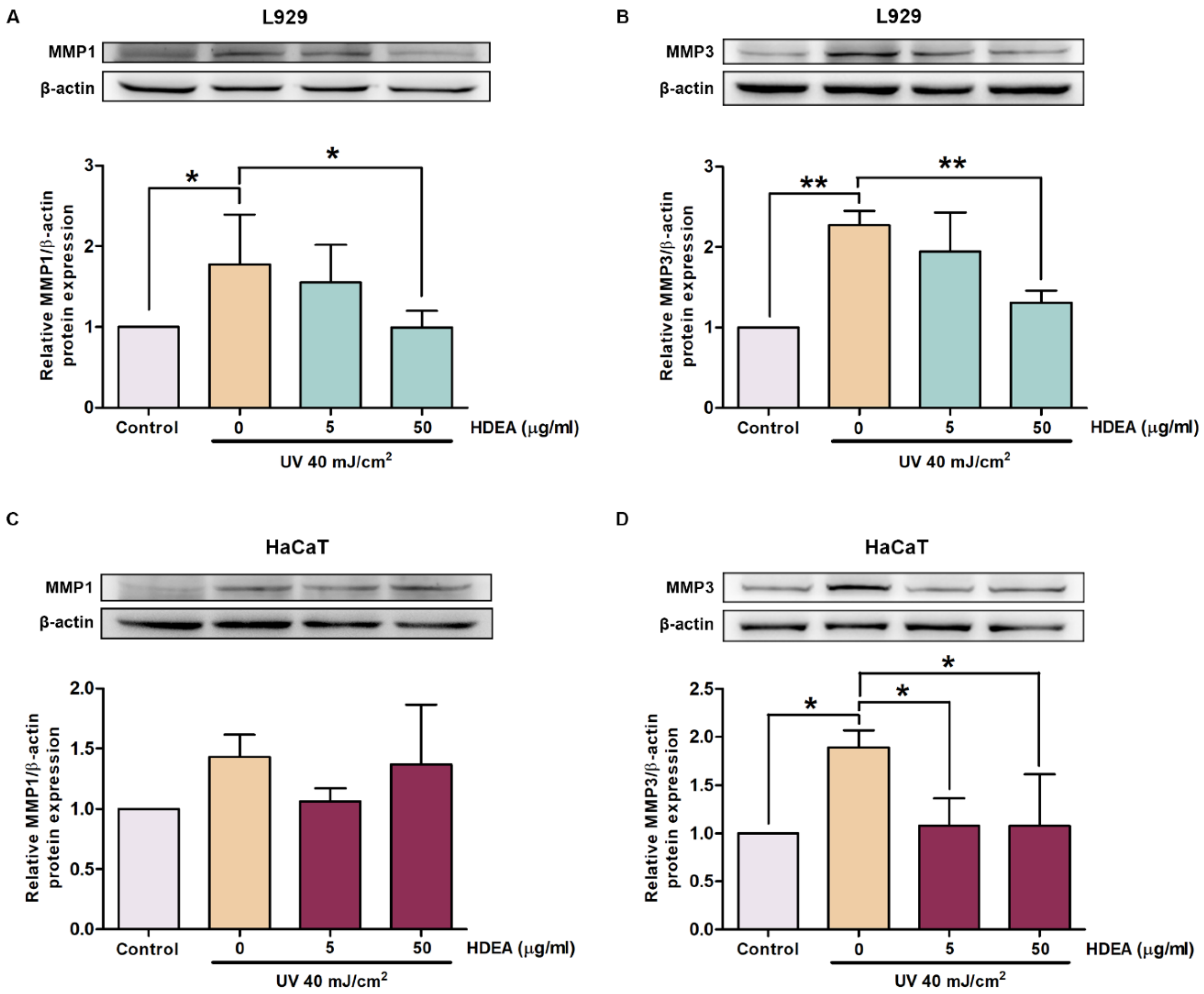 Marinedrugs 20 00707 g006