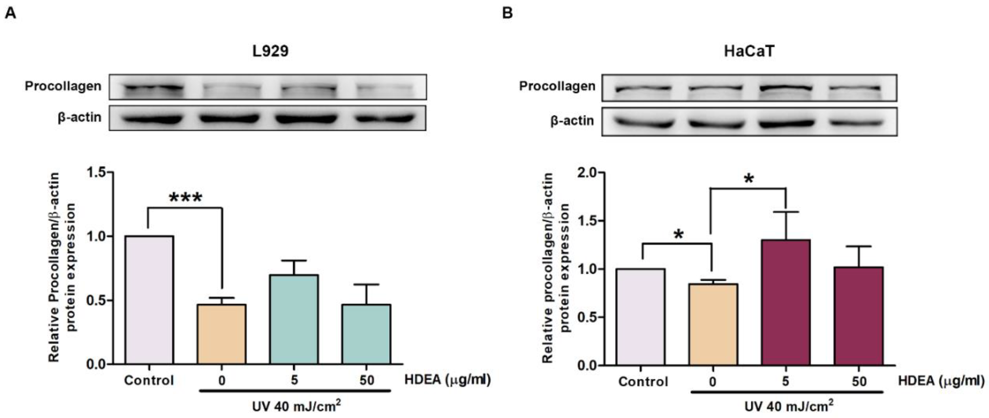 Marinedrugs 20 00707 g007