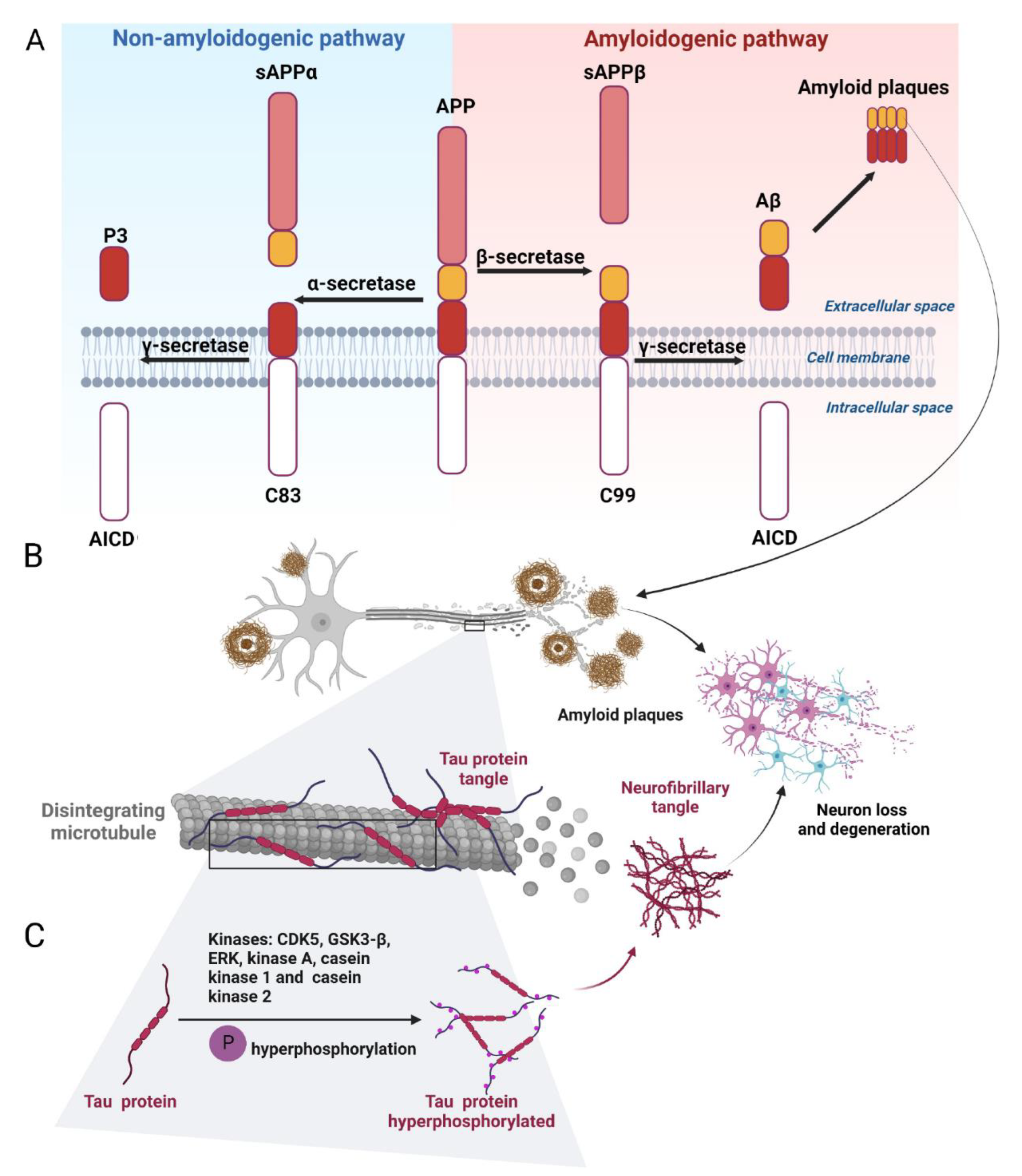 Marinedrugs 20 00708 g002 Marinedrugs 20 00708 g002