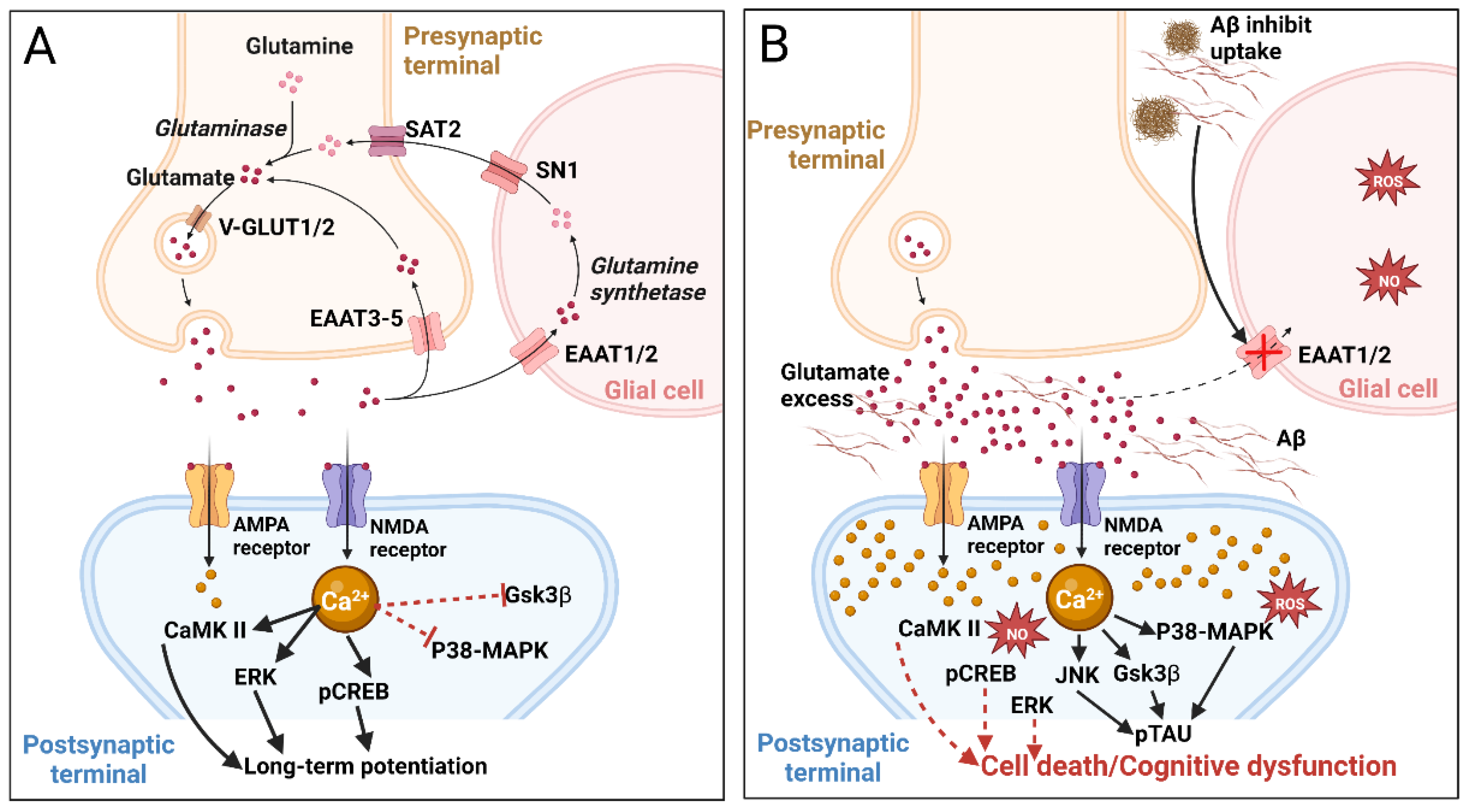 Marinedrugs 20 00708 g003 Marinedrugs 20 00708 g003